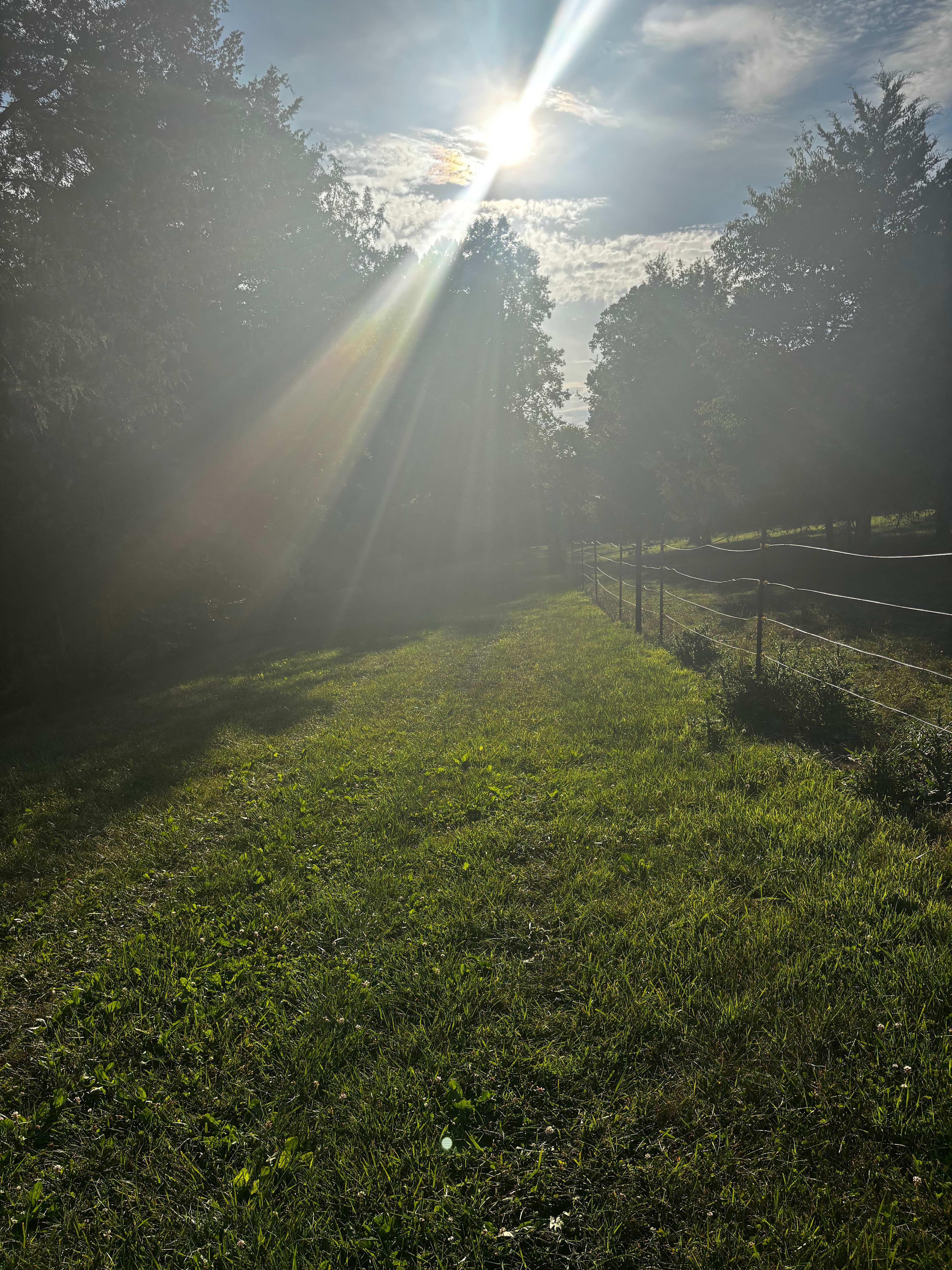 The Oasis at Harmon Creek Farms