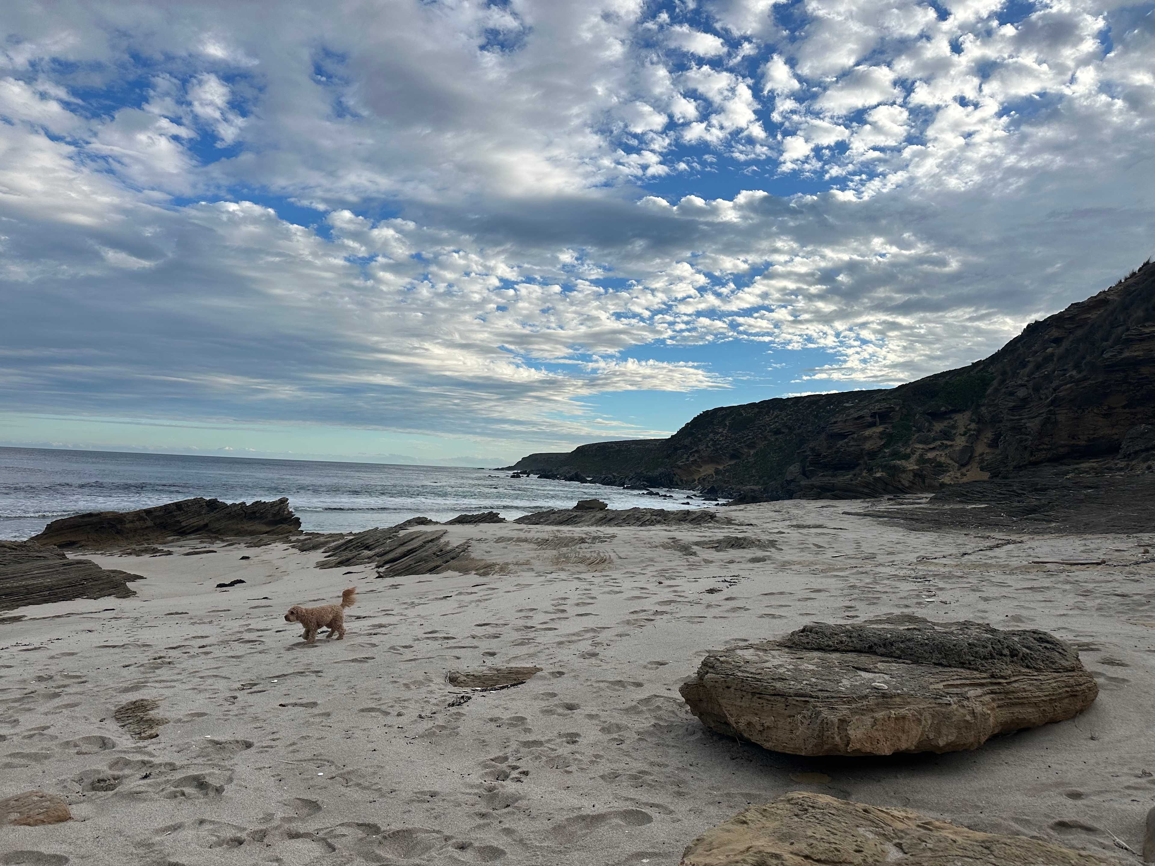 Salt Rock Escape