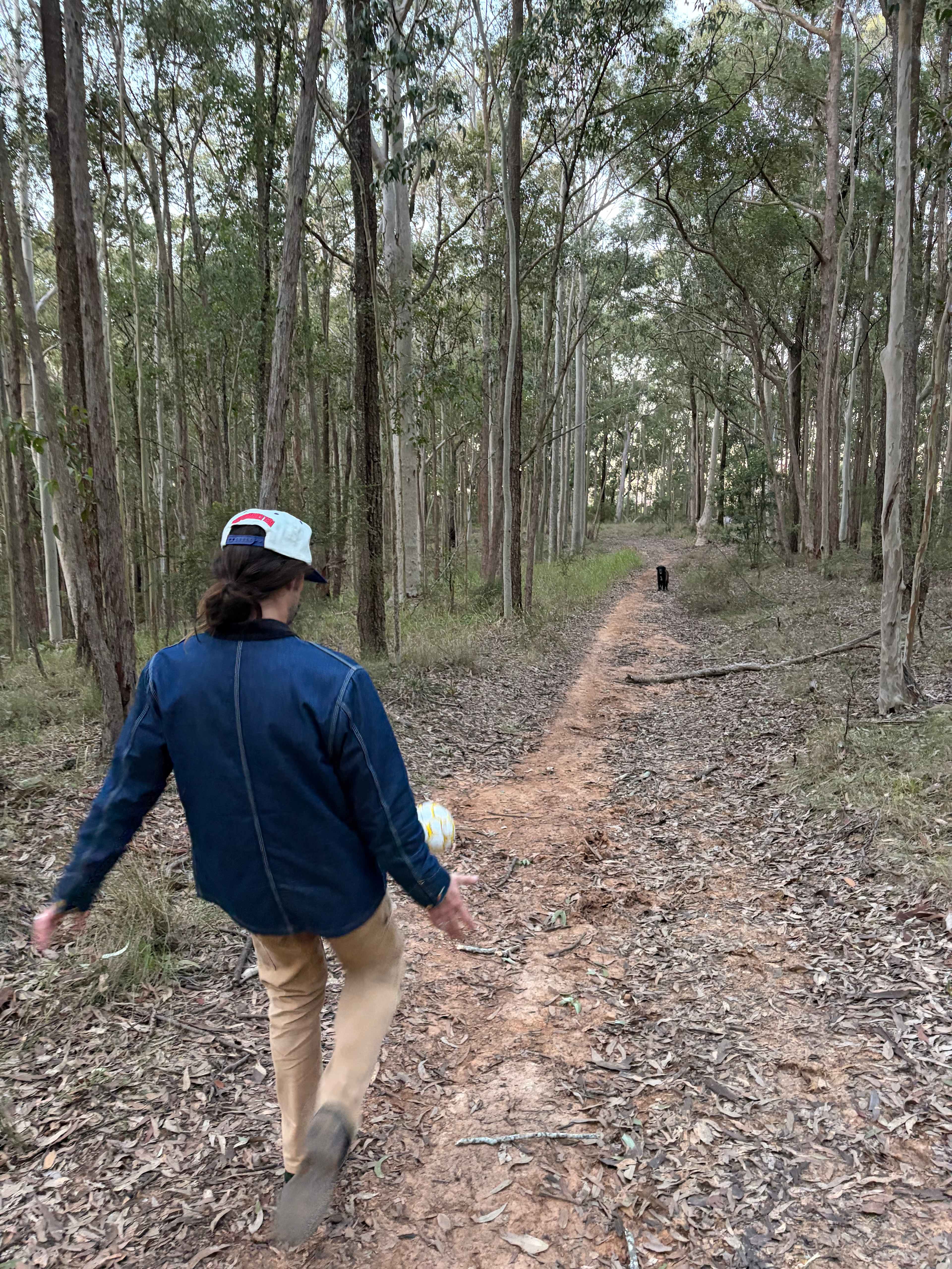 Fern Gully