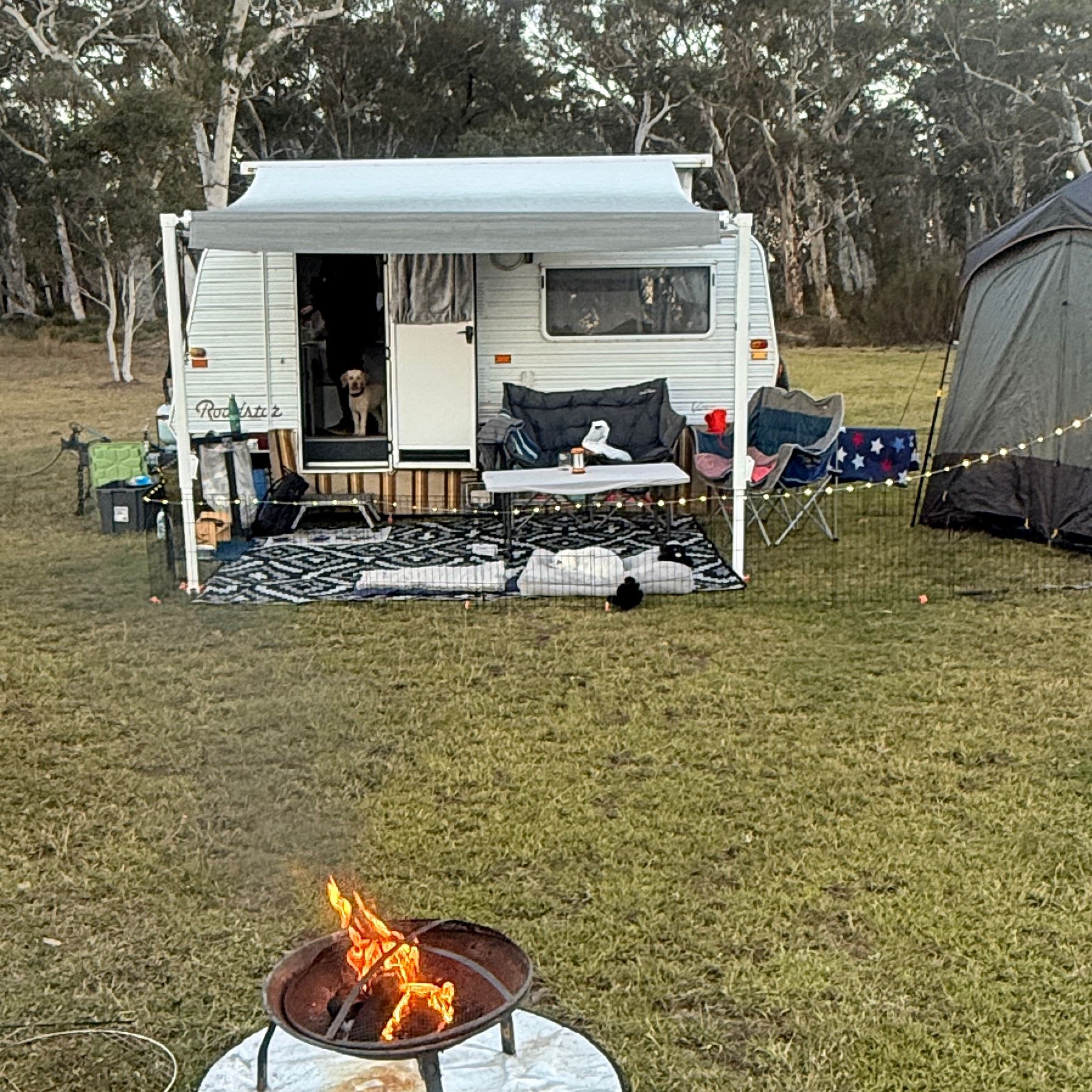 Truffle Farm Camping