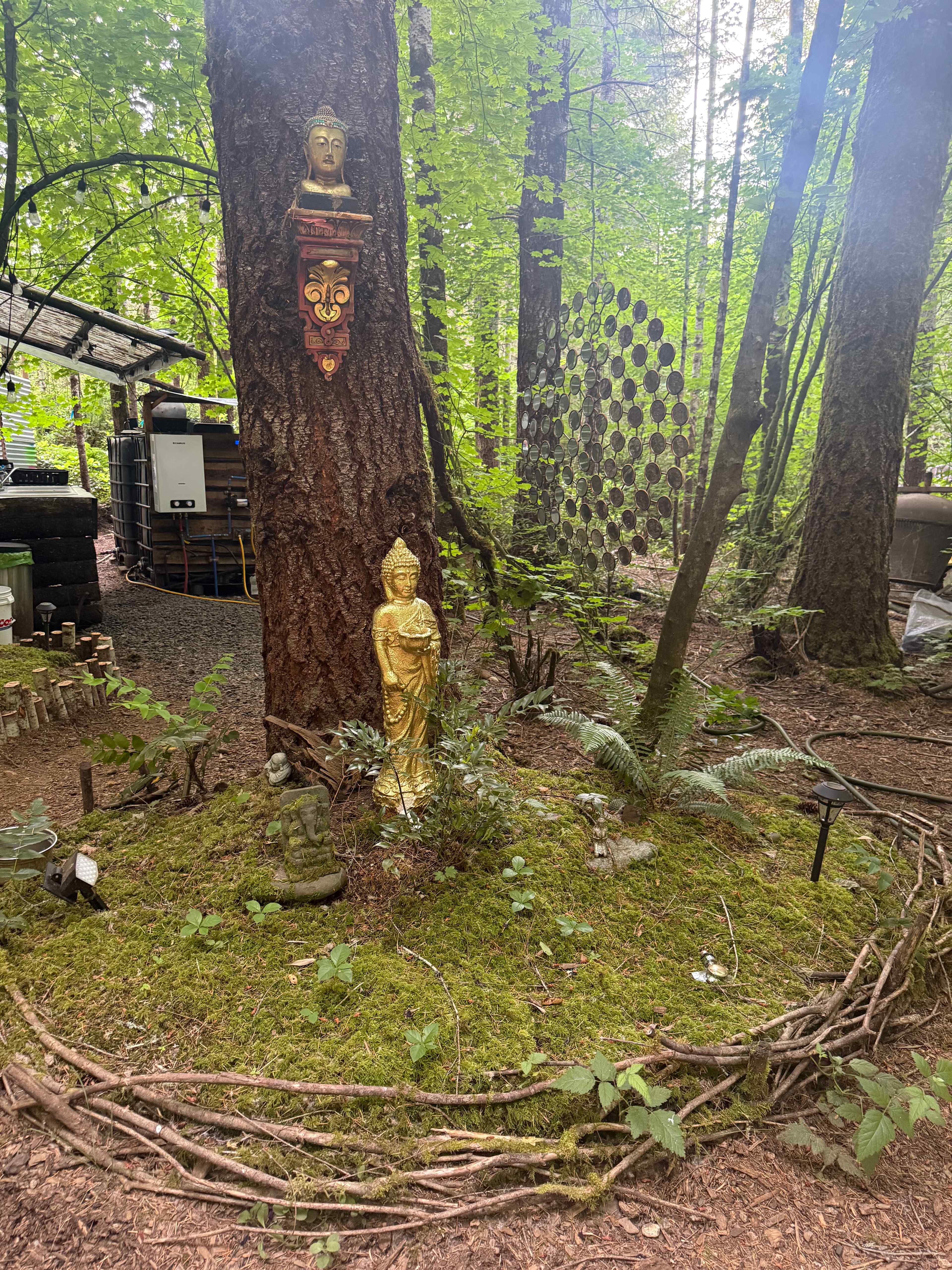 Elfendahl Forest