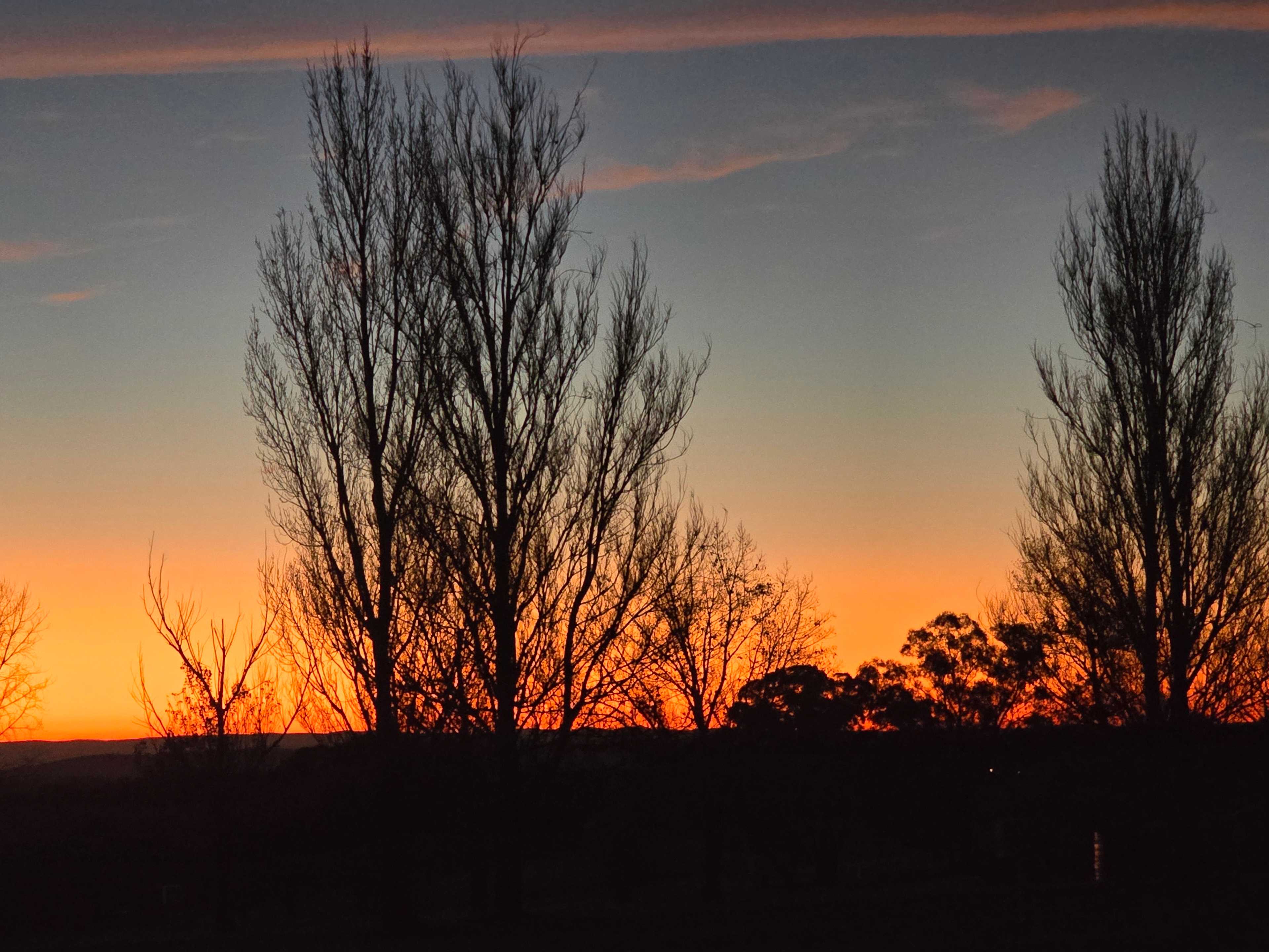 Borenore Billabong Field Days site