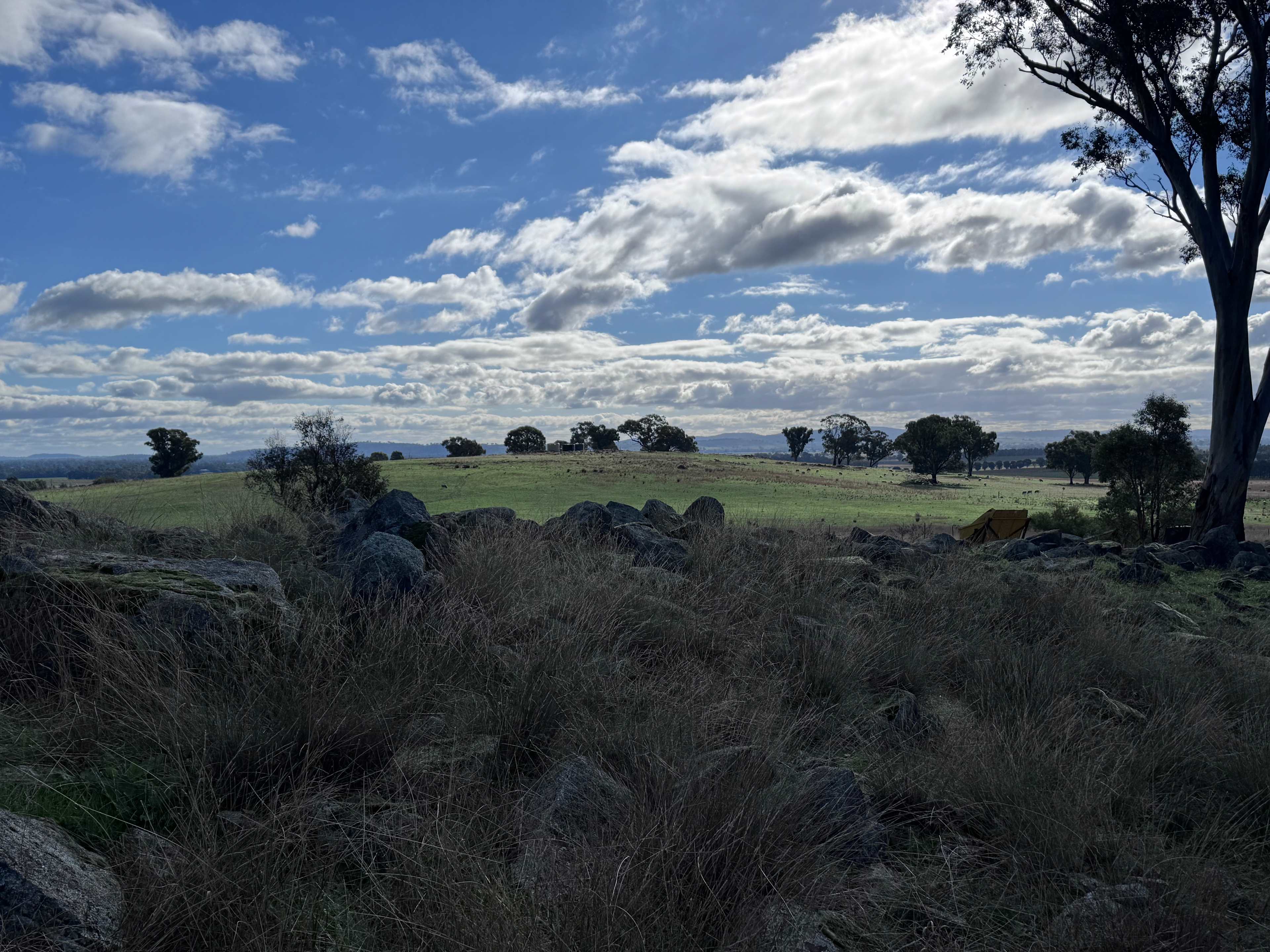 Windowrie Winery
