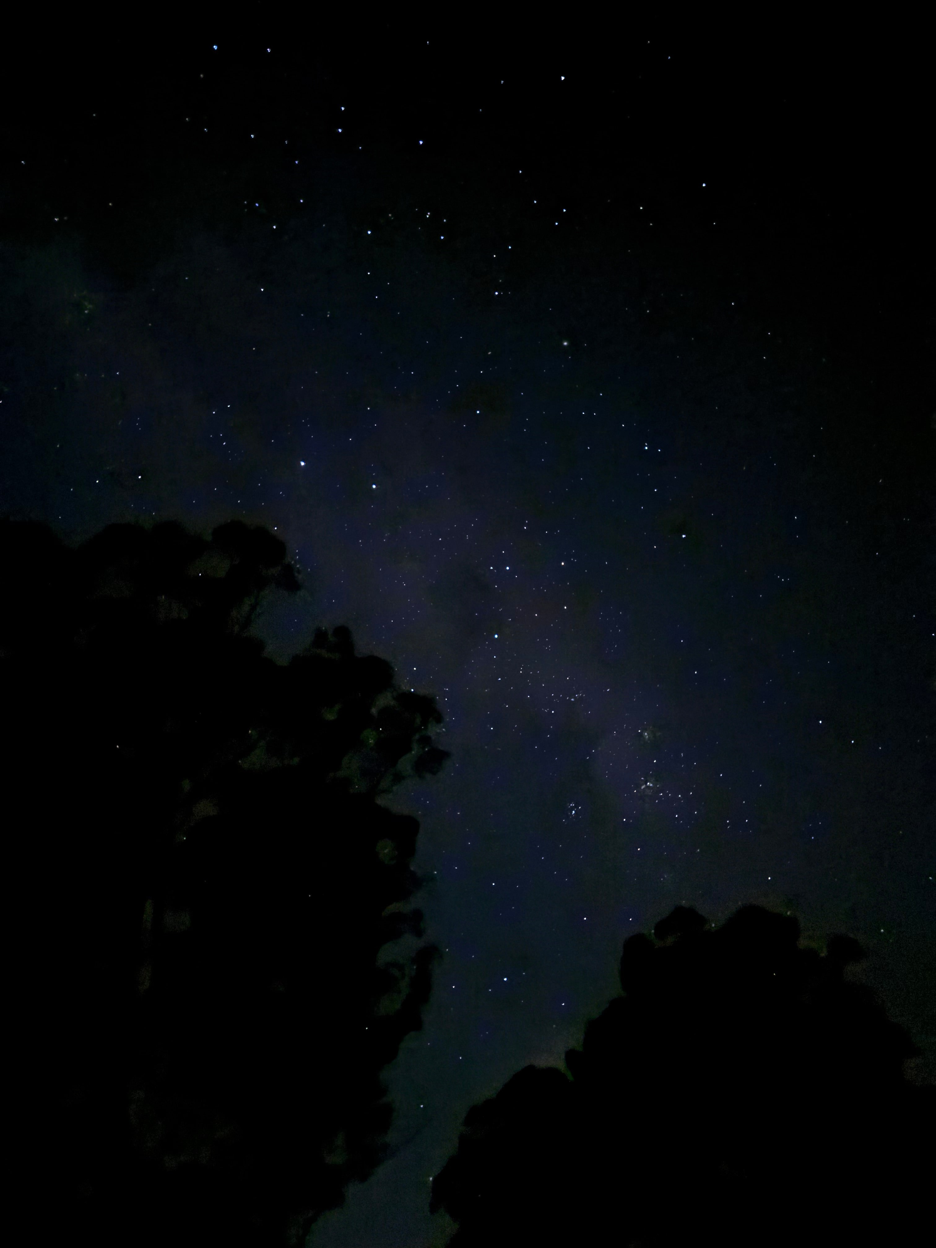 Wallaby Haven