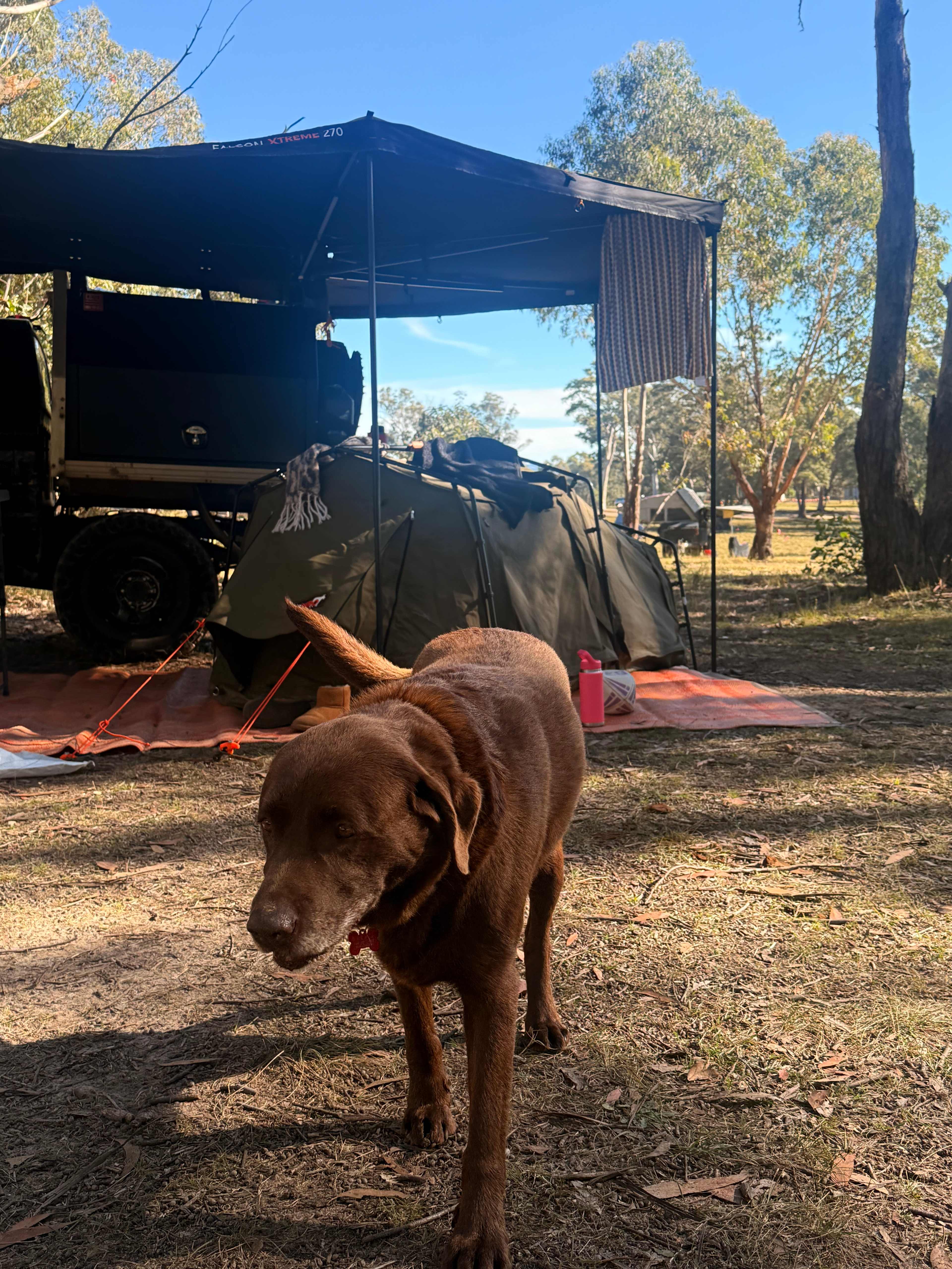 Megalong Valley Farm