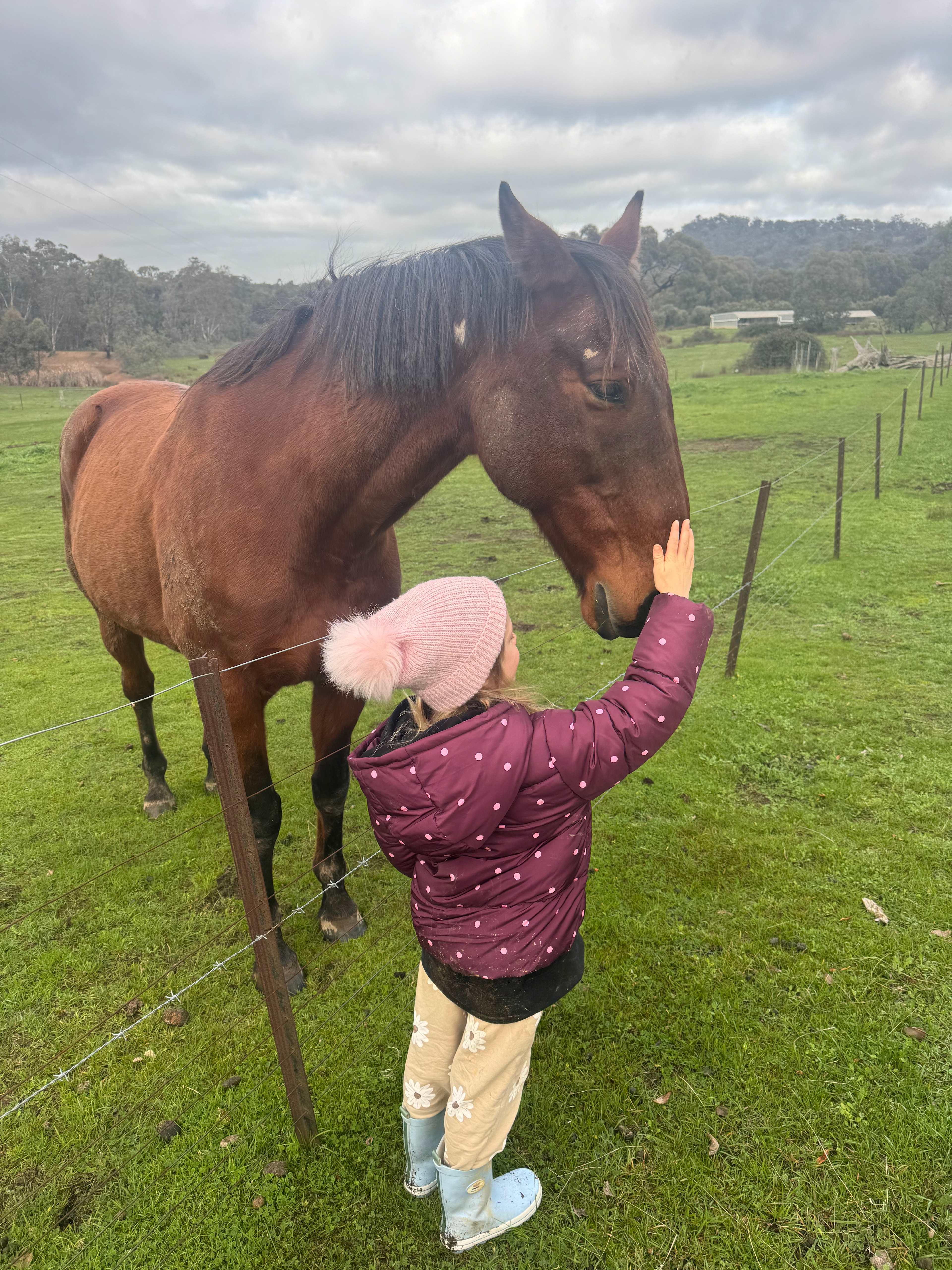 Eden Pines Farm
