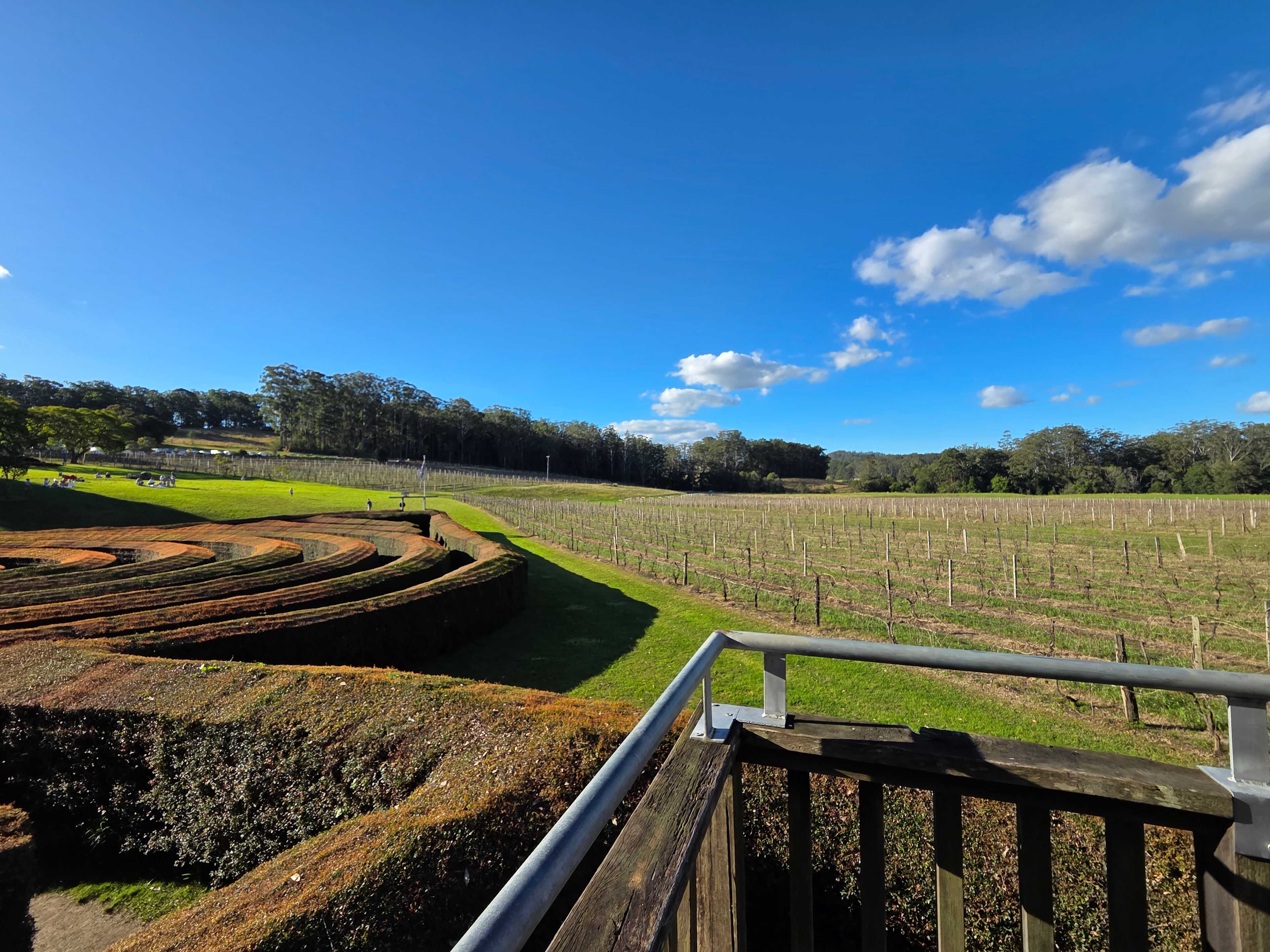 Bago Maze & Wine Mountain View Camp