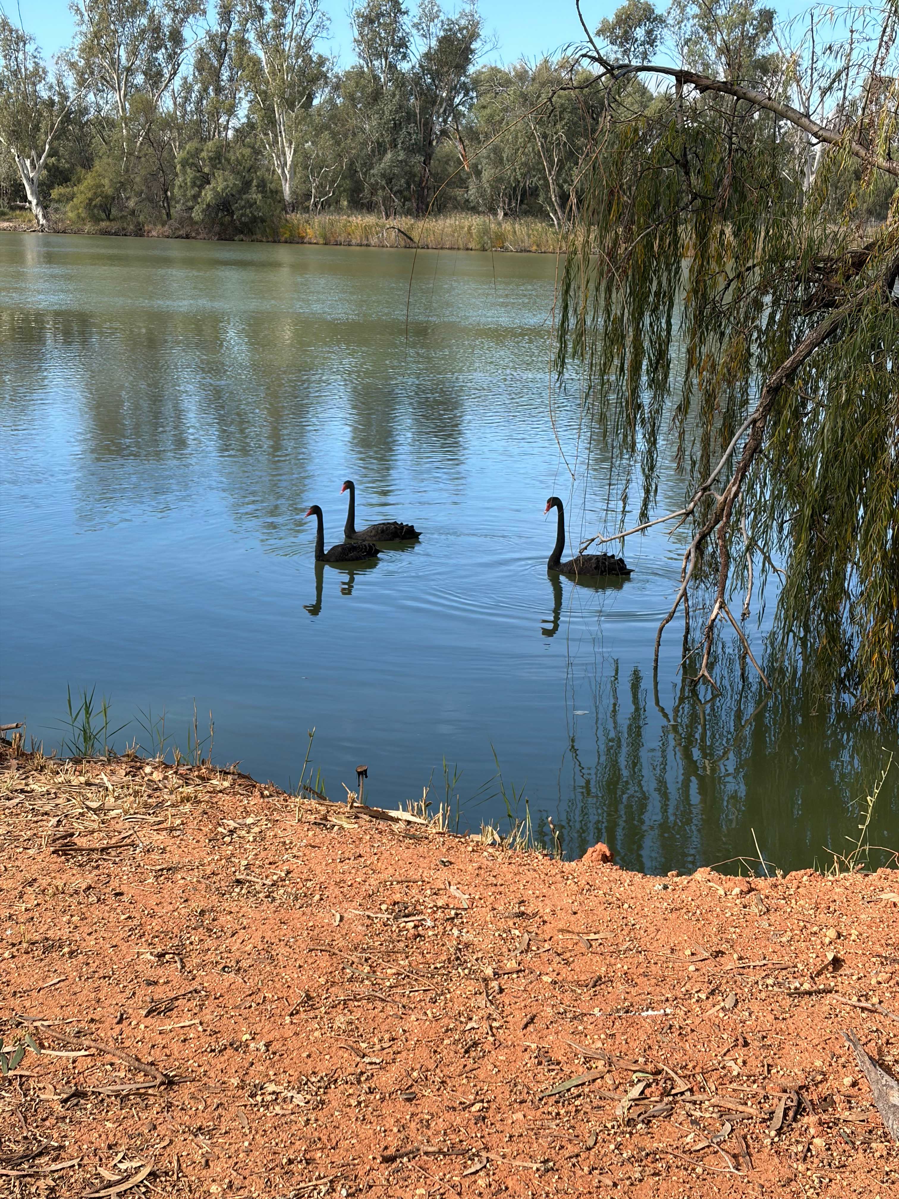 Rondel River Reserve