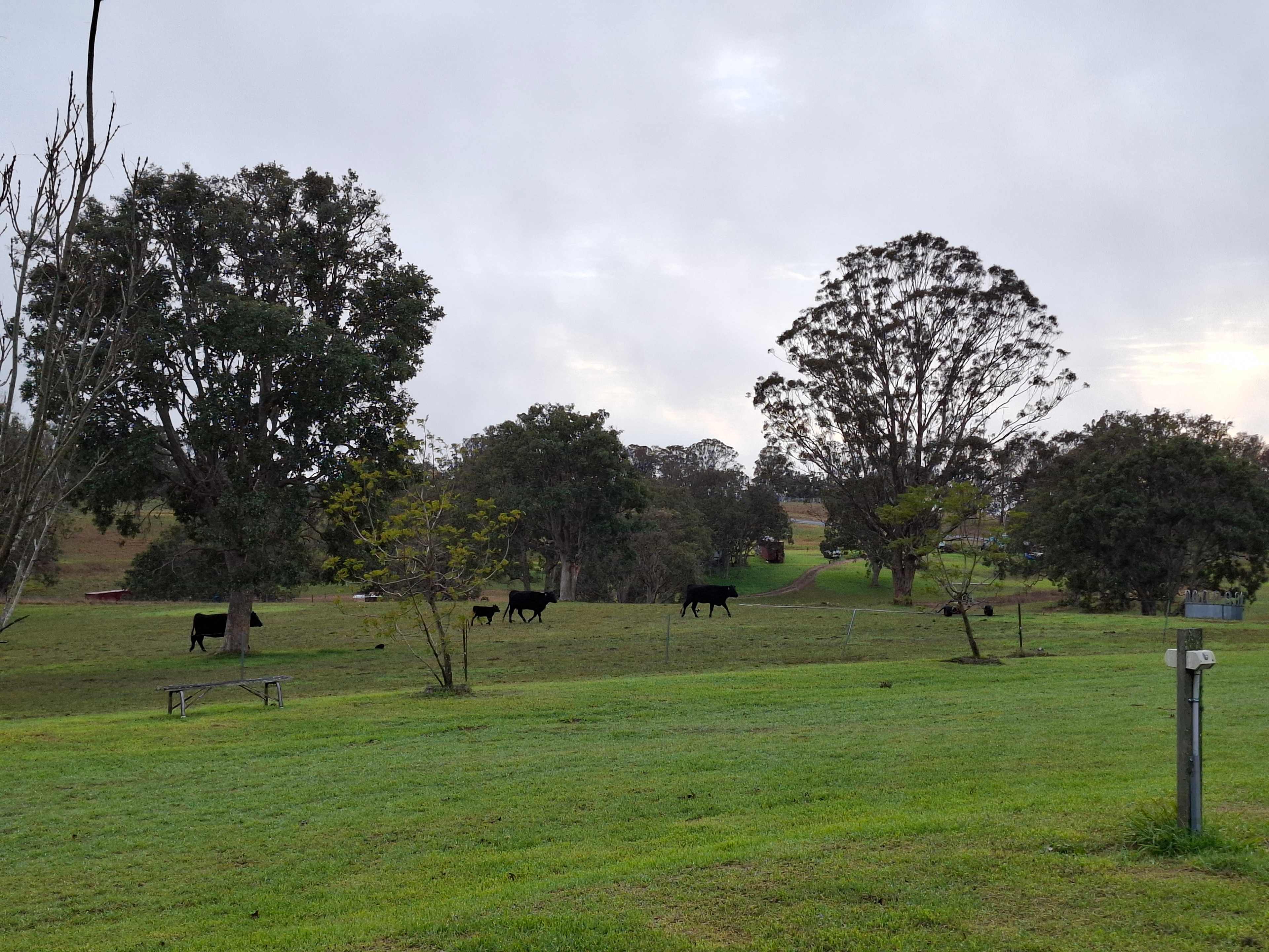 Aloomba Lavender Farm