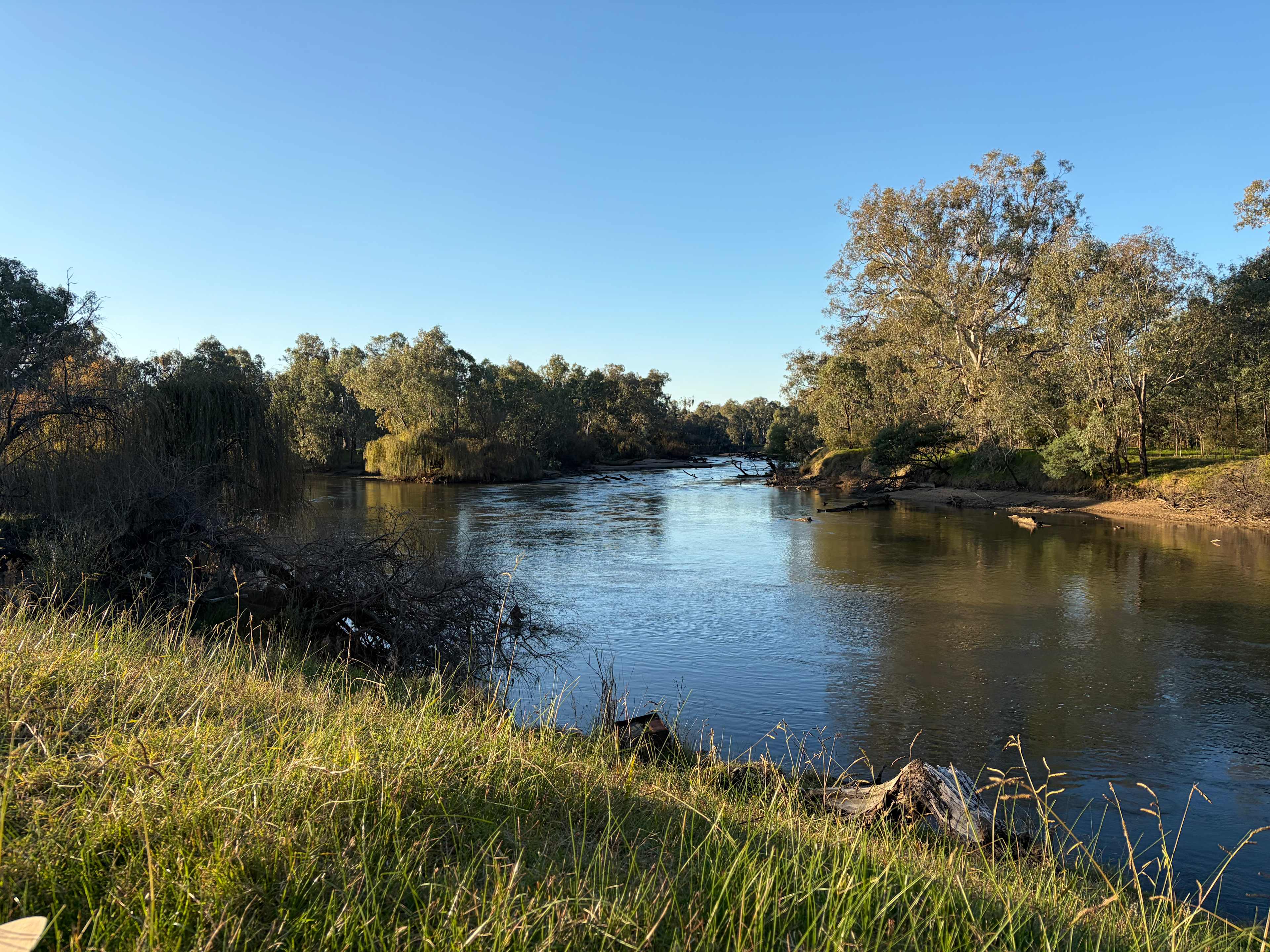 Willowbank on the Murray
