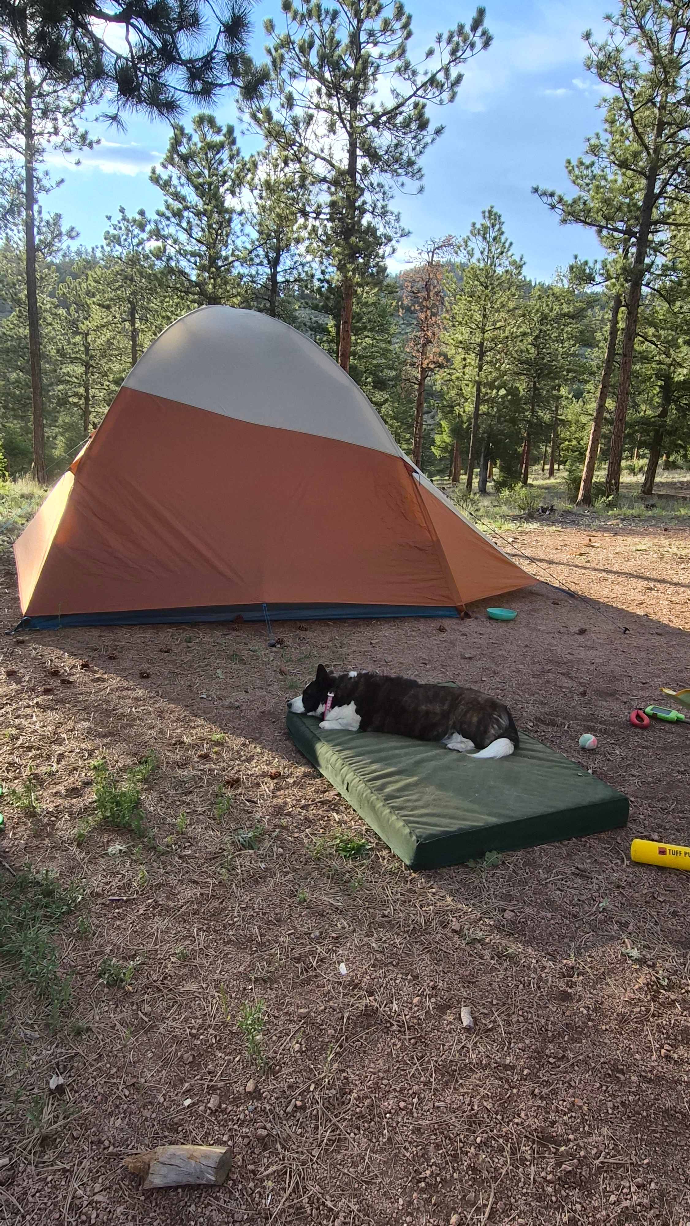 Serenity in the Foothills