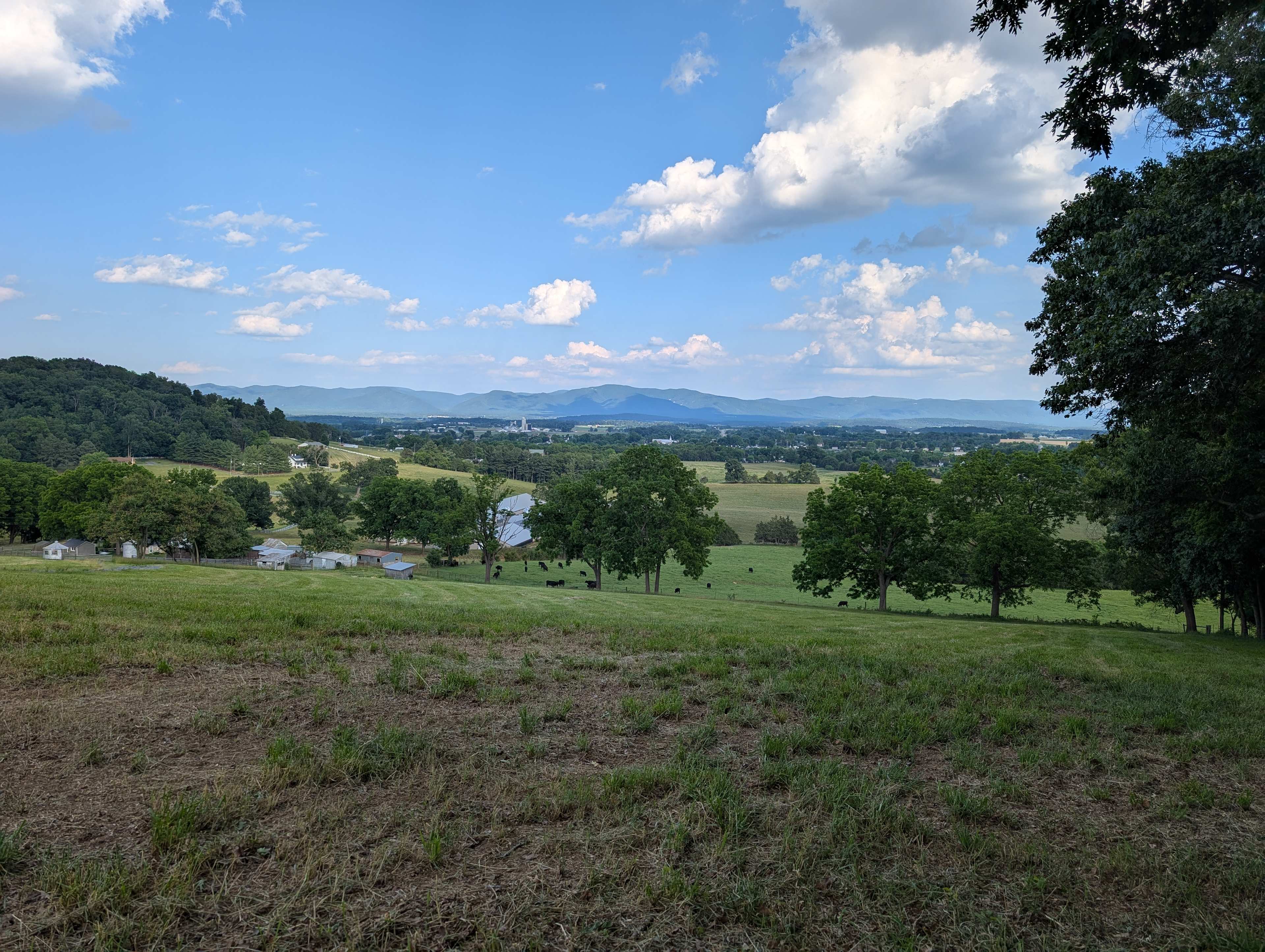Dices Spring Farm Camp & Views