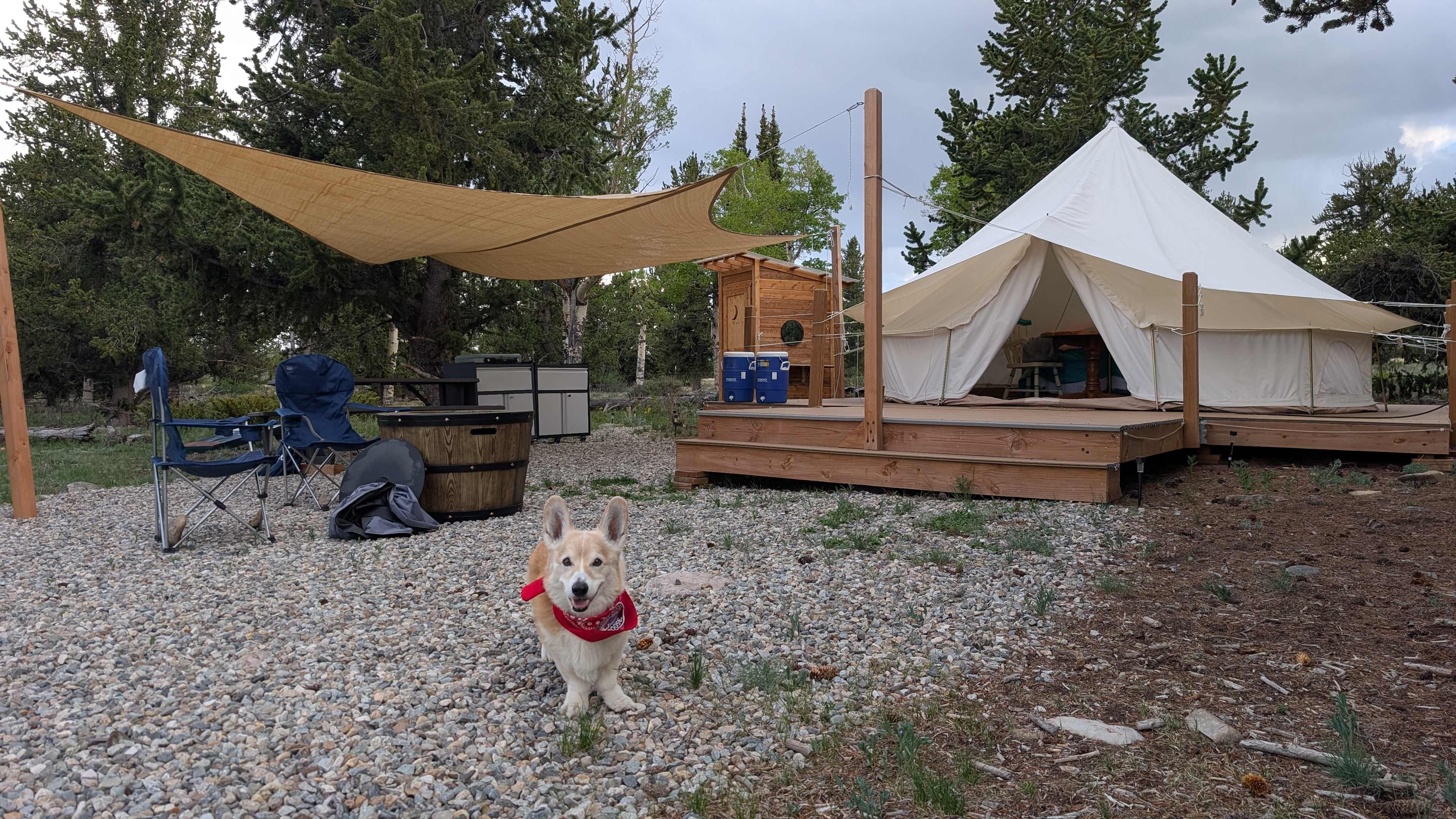 The set up, approved by my dog