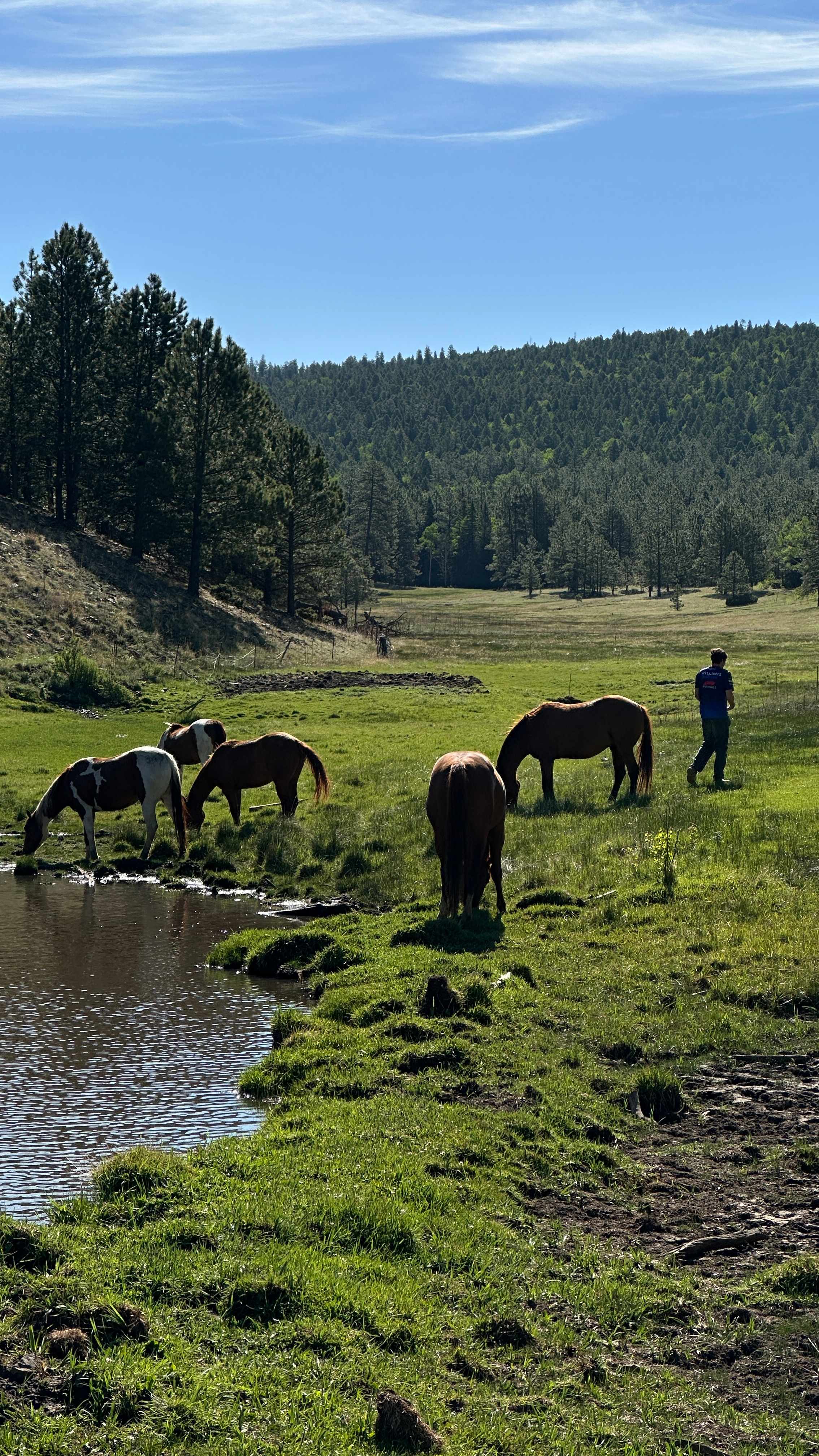 Enchanted Circle Campground (E<<)