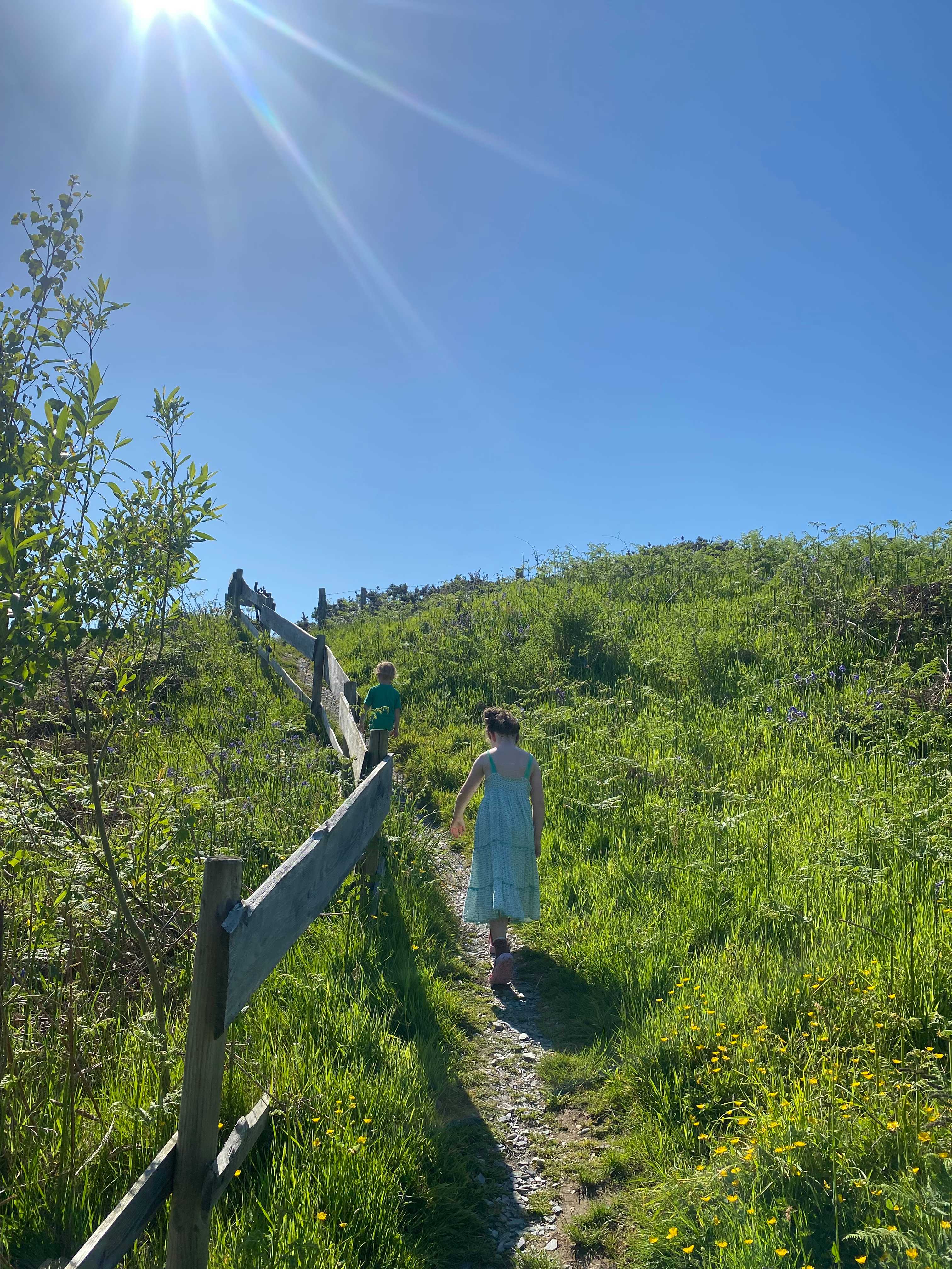 Henbant Permaculture Farm + Camp