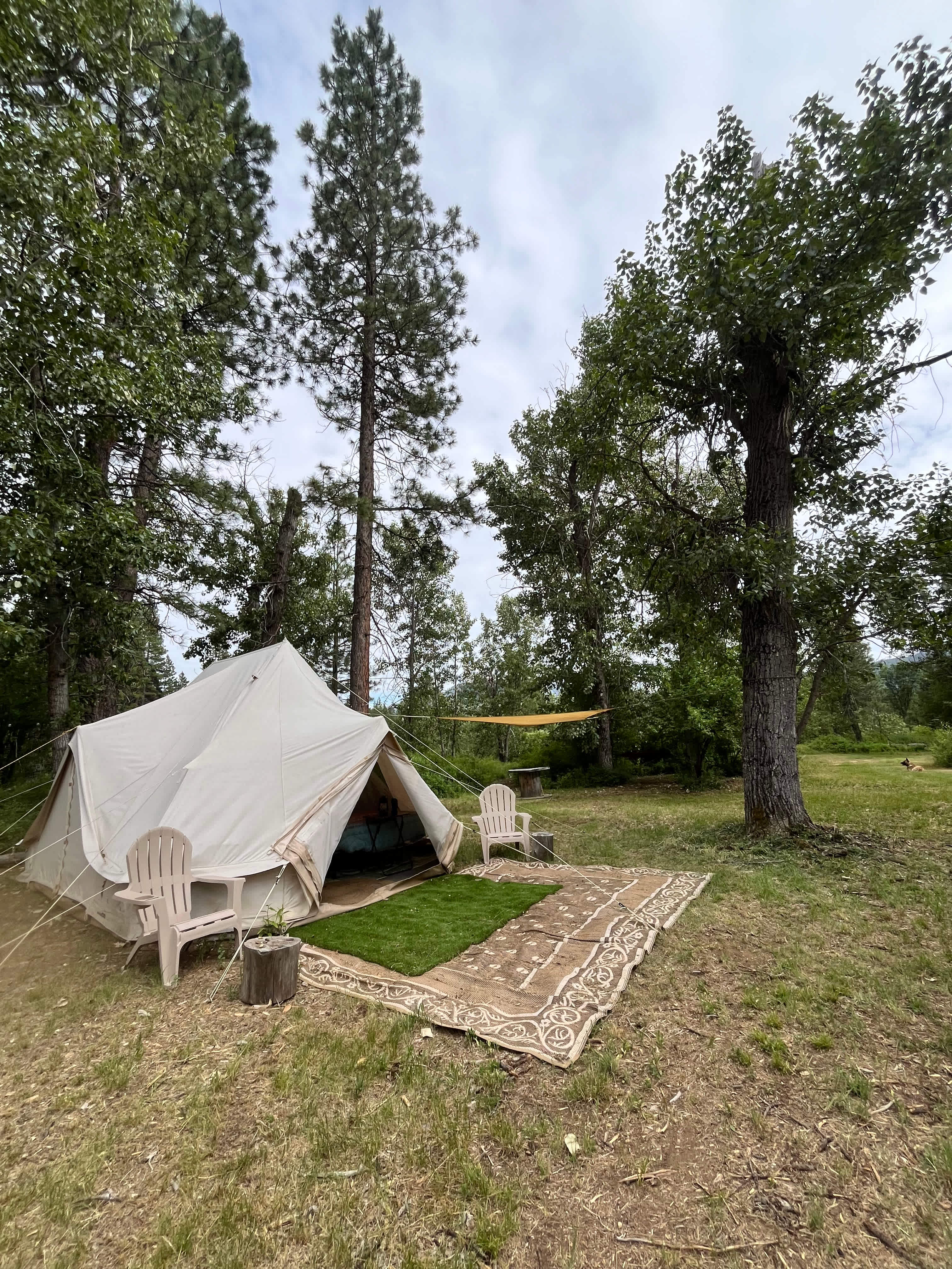 Picture of the site