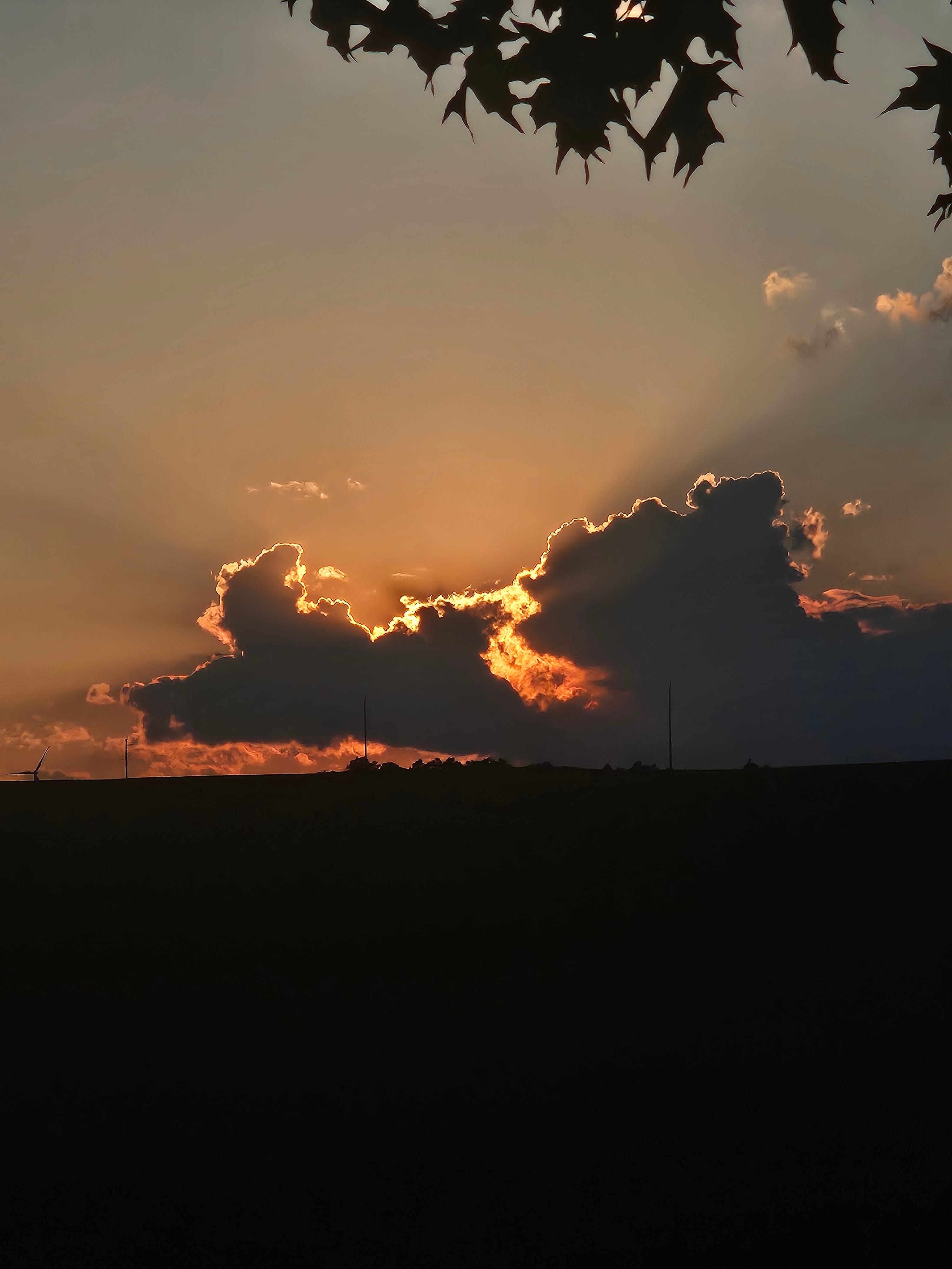 Looking west over a cornfield right at our site. 