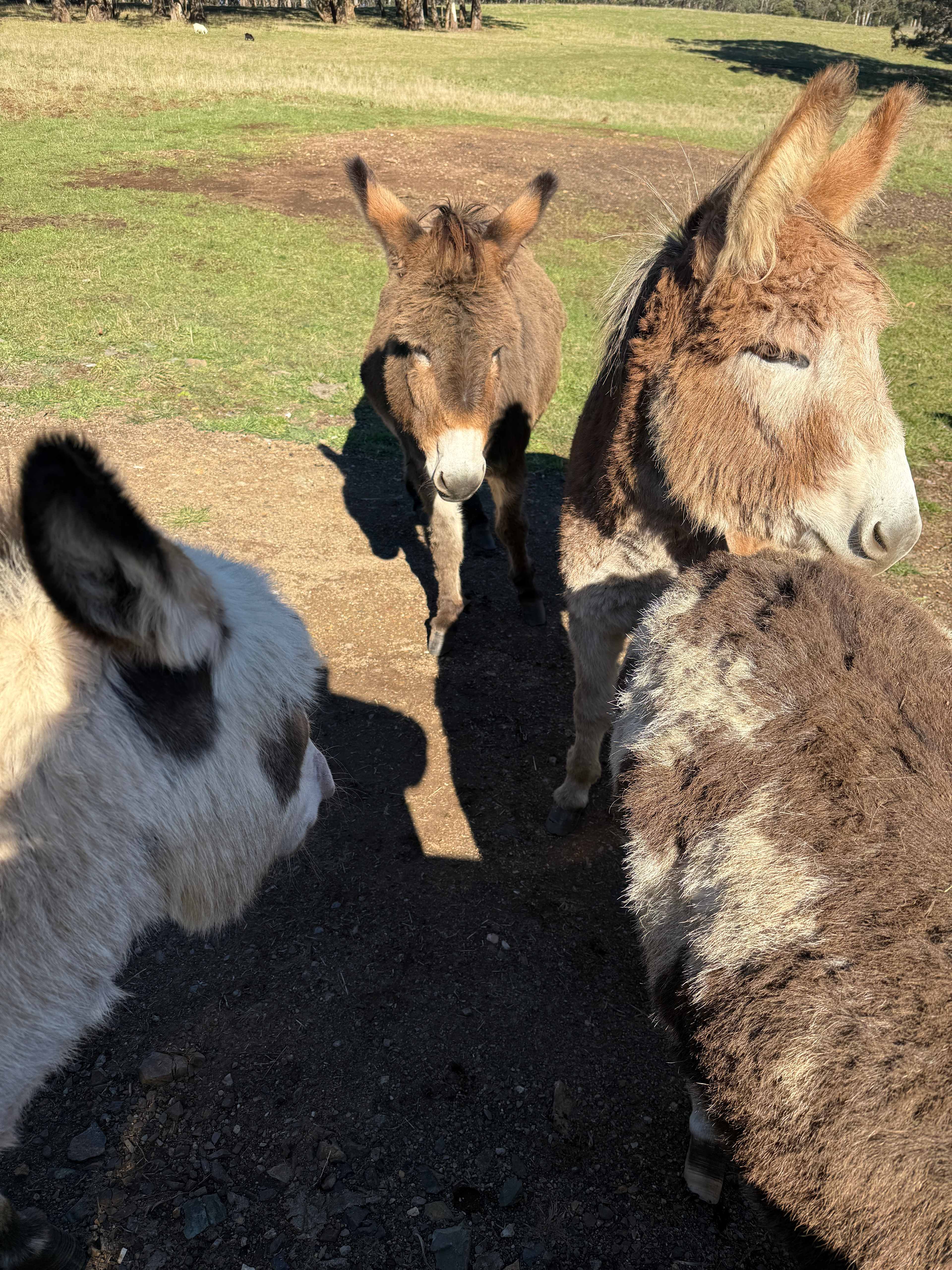 Kenzell Farm