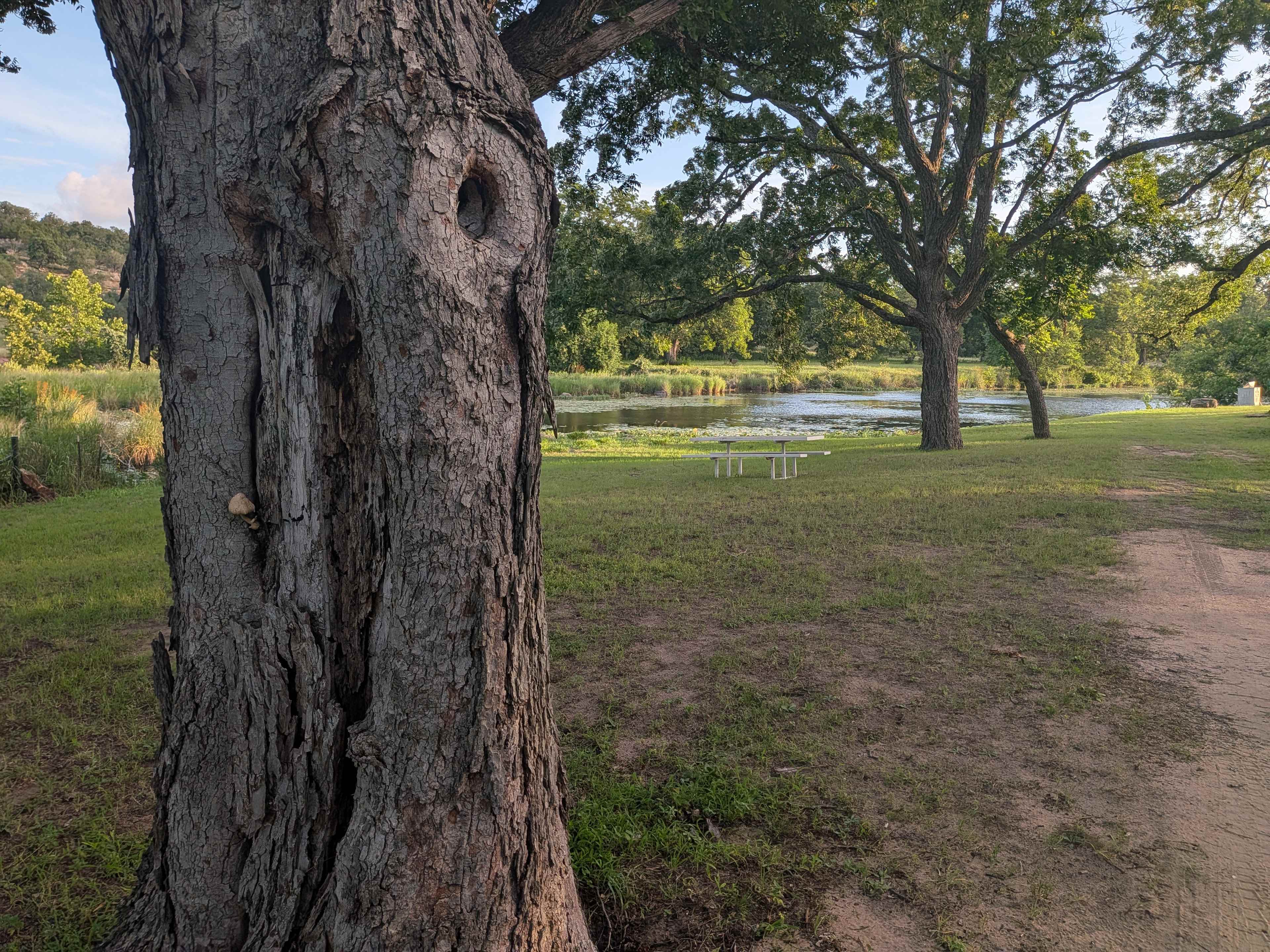 Hill Country Escape
