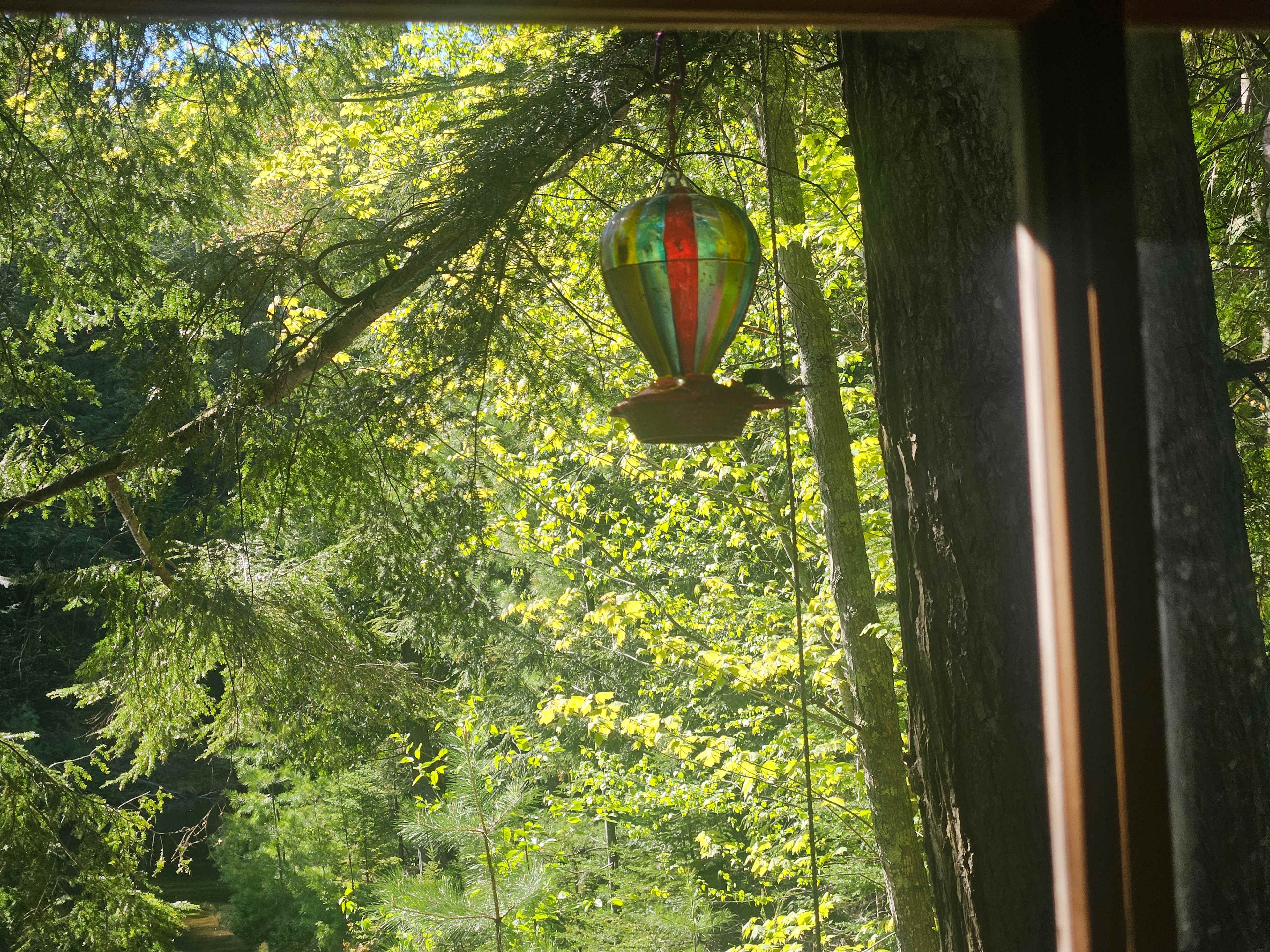 Bear Tree Homestead