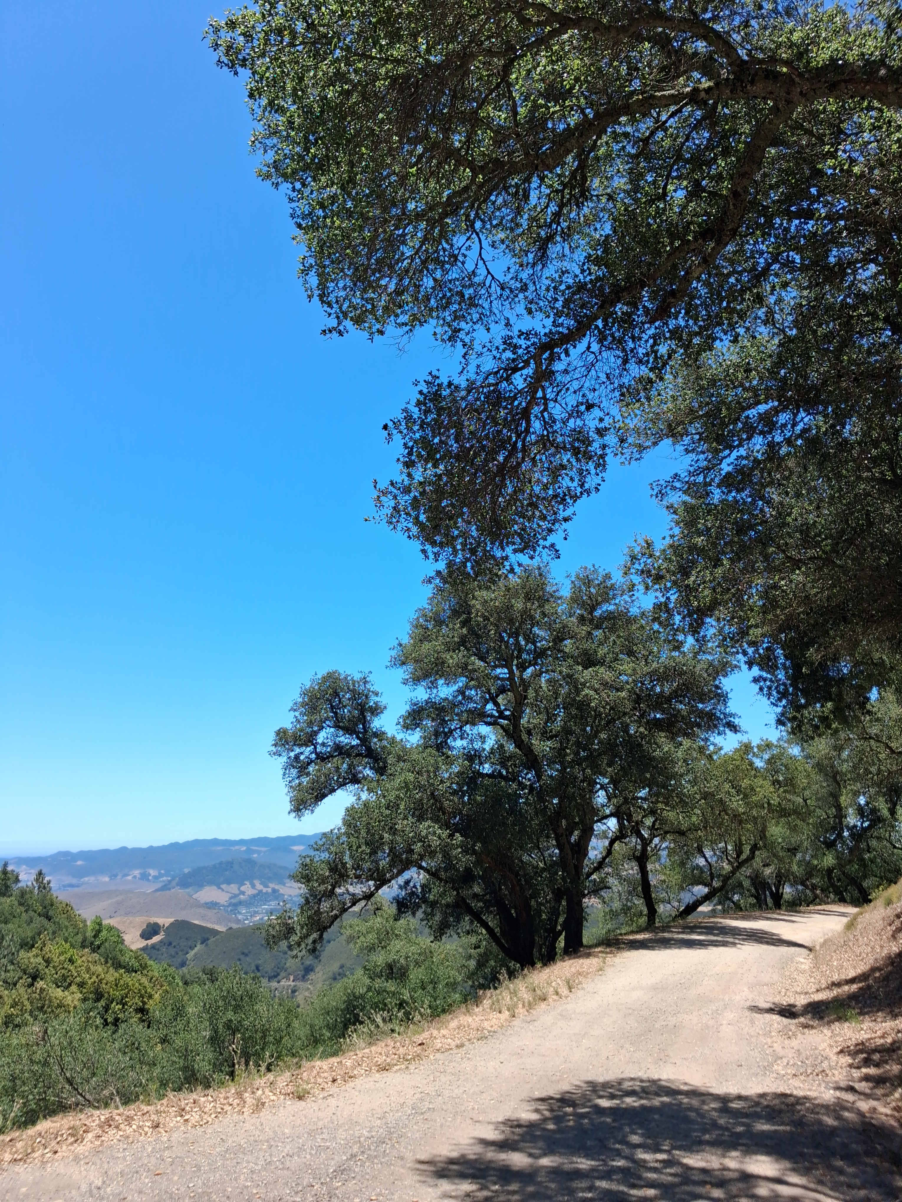 Mt Rancho (FKA La Montaña Ranch)