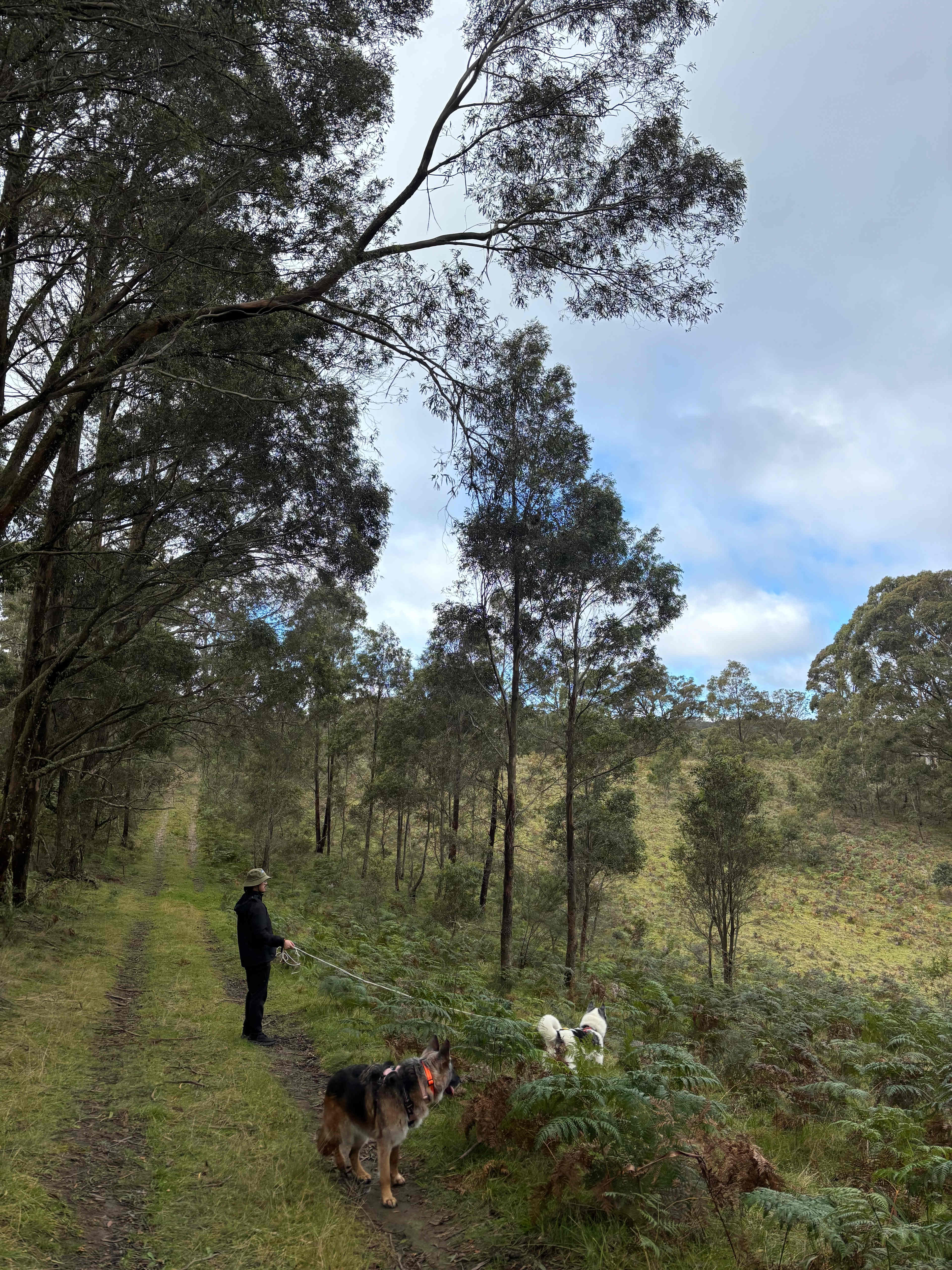 The Old Air Strip