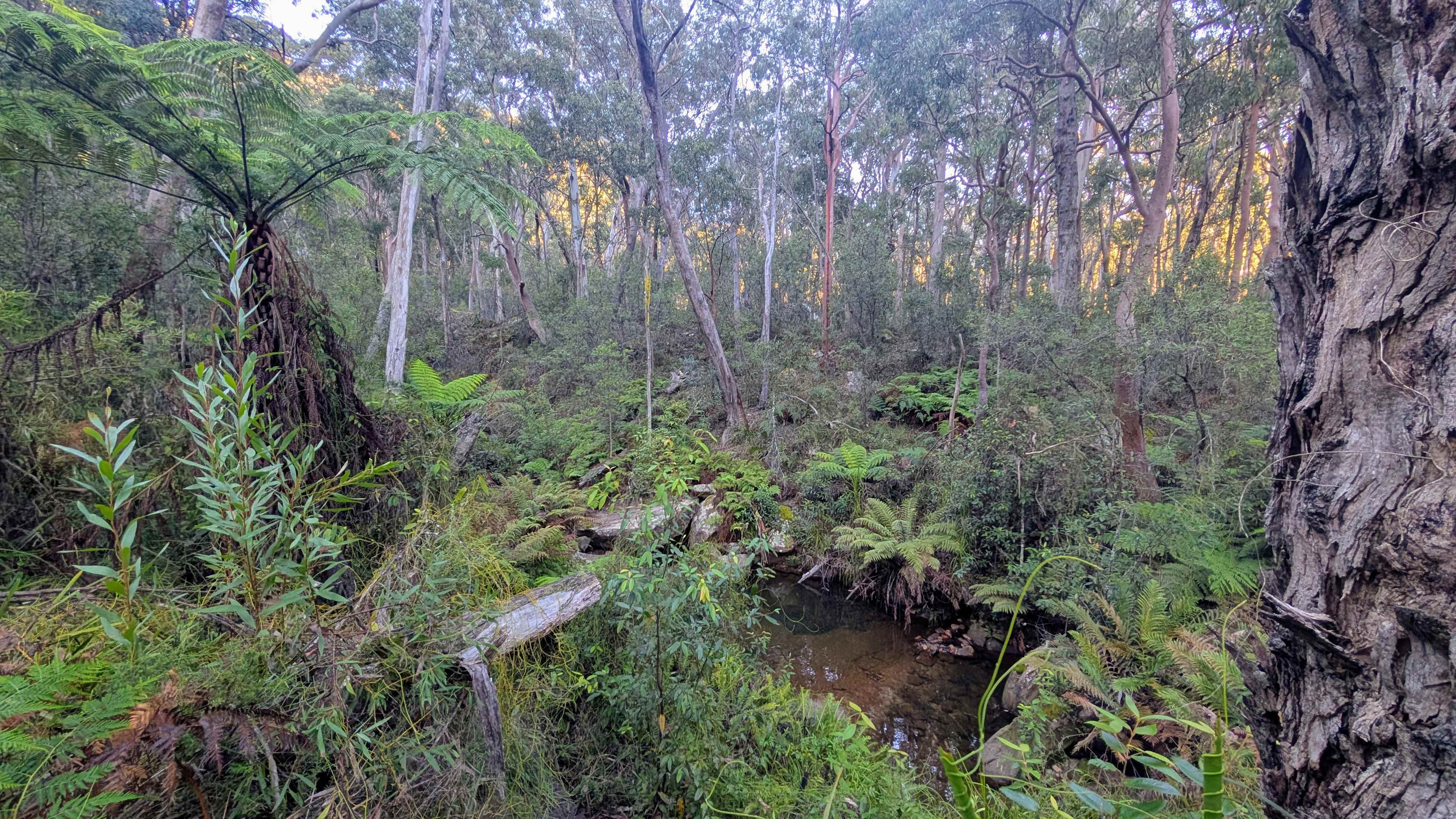 Seclusion at Nangala