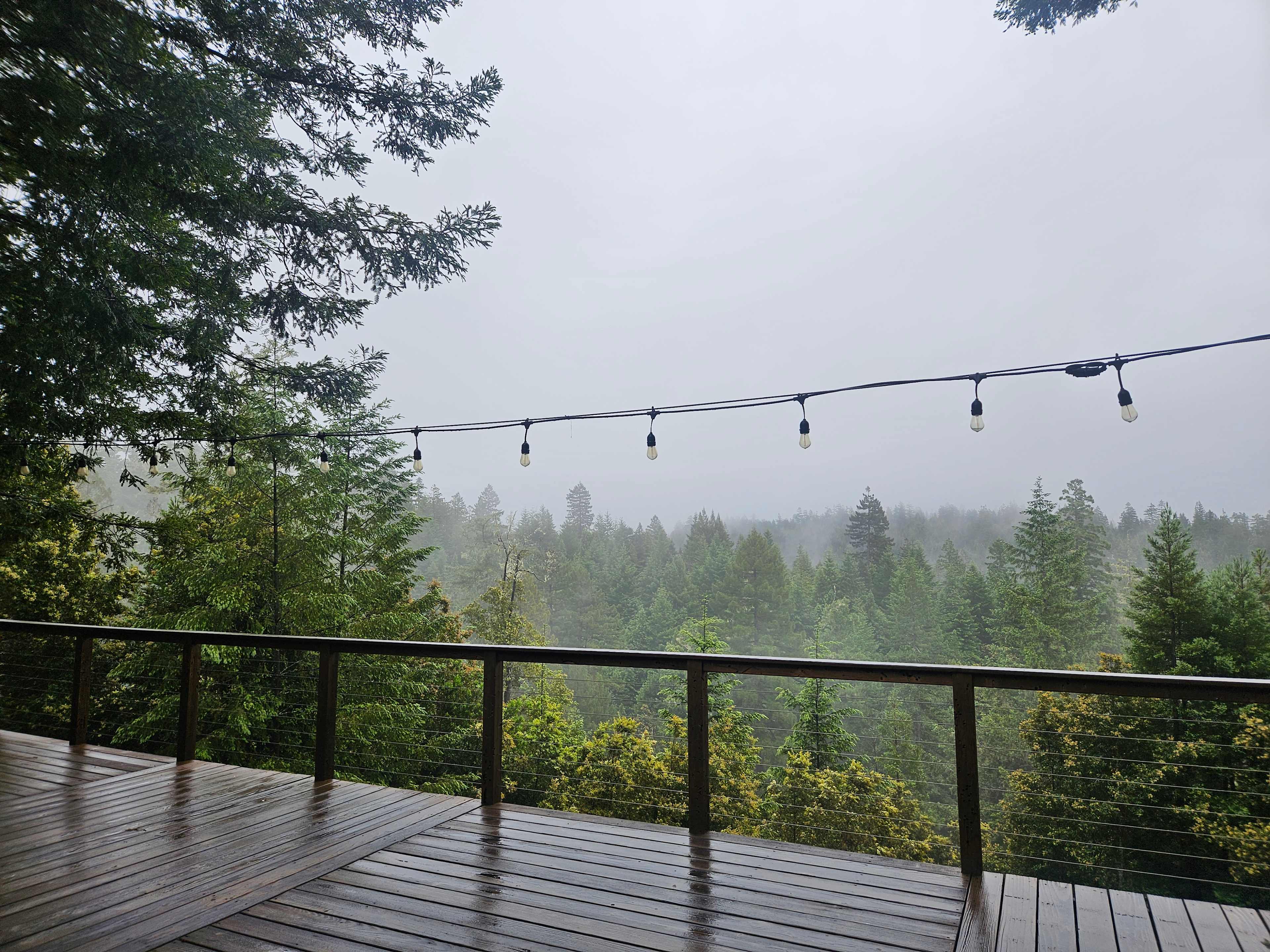 The Deck