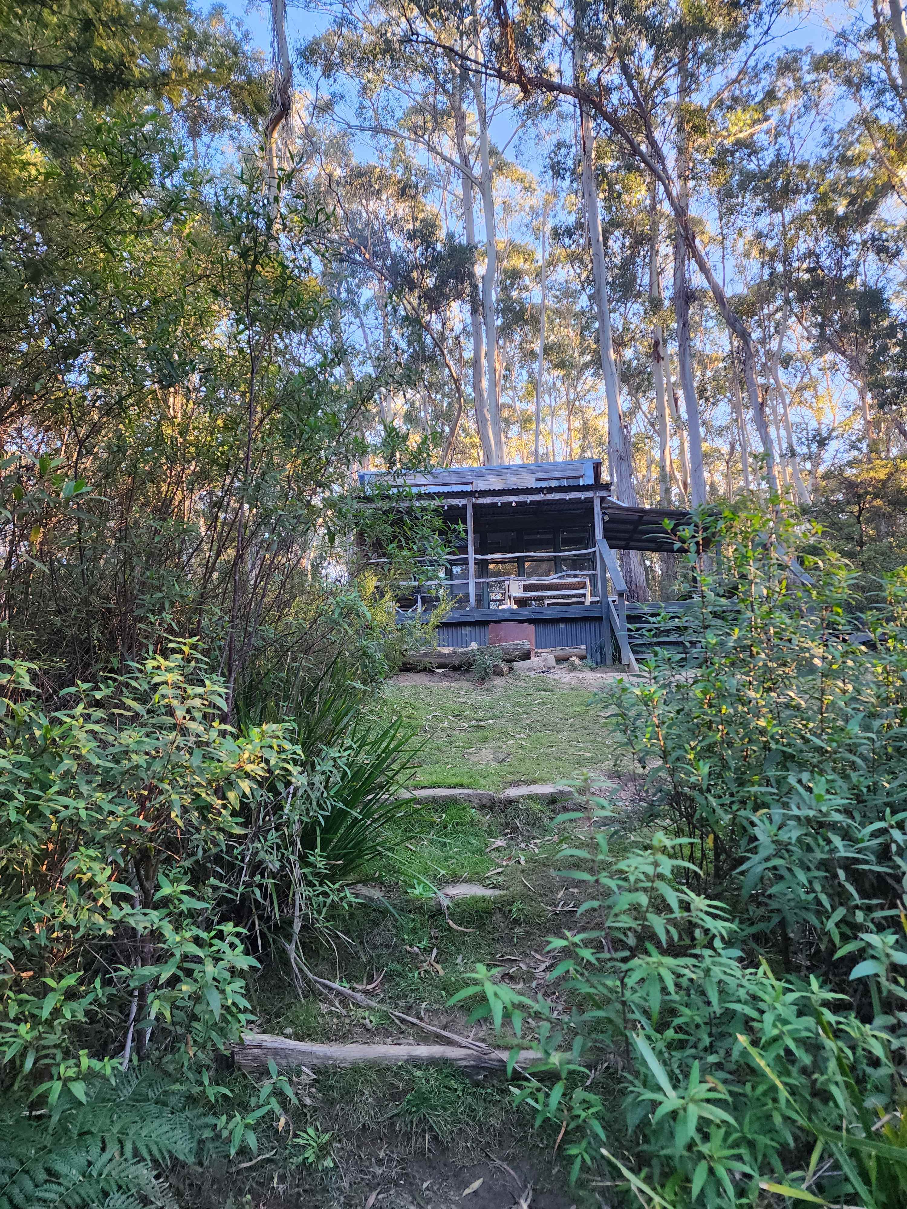 Scribbly Gum secluded bush camping