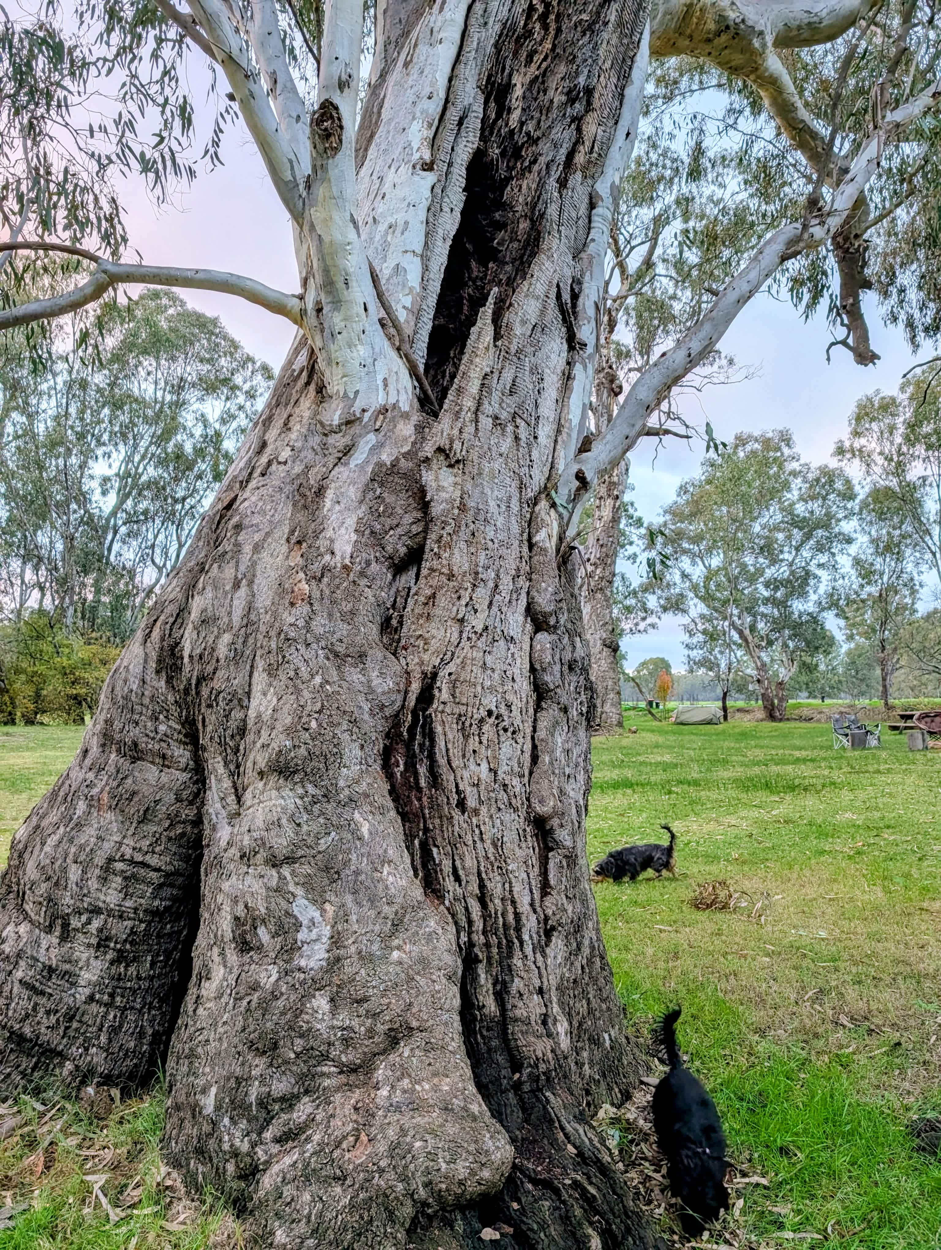 Billabong Flats Farm