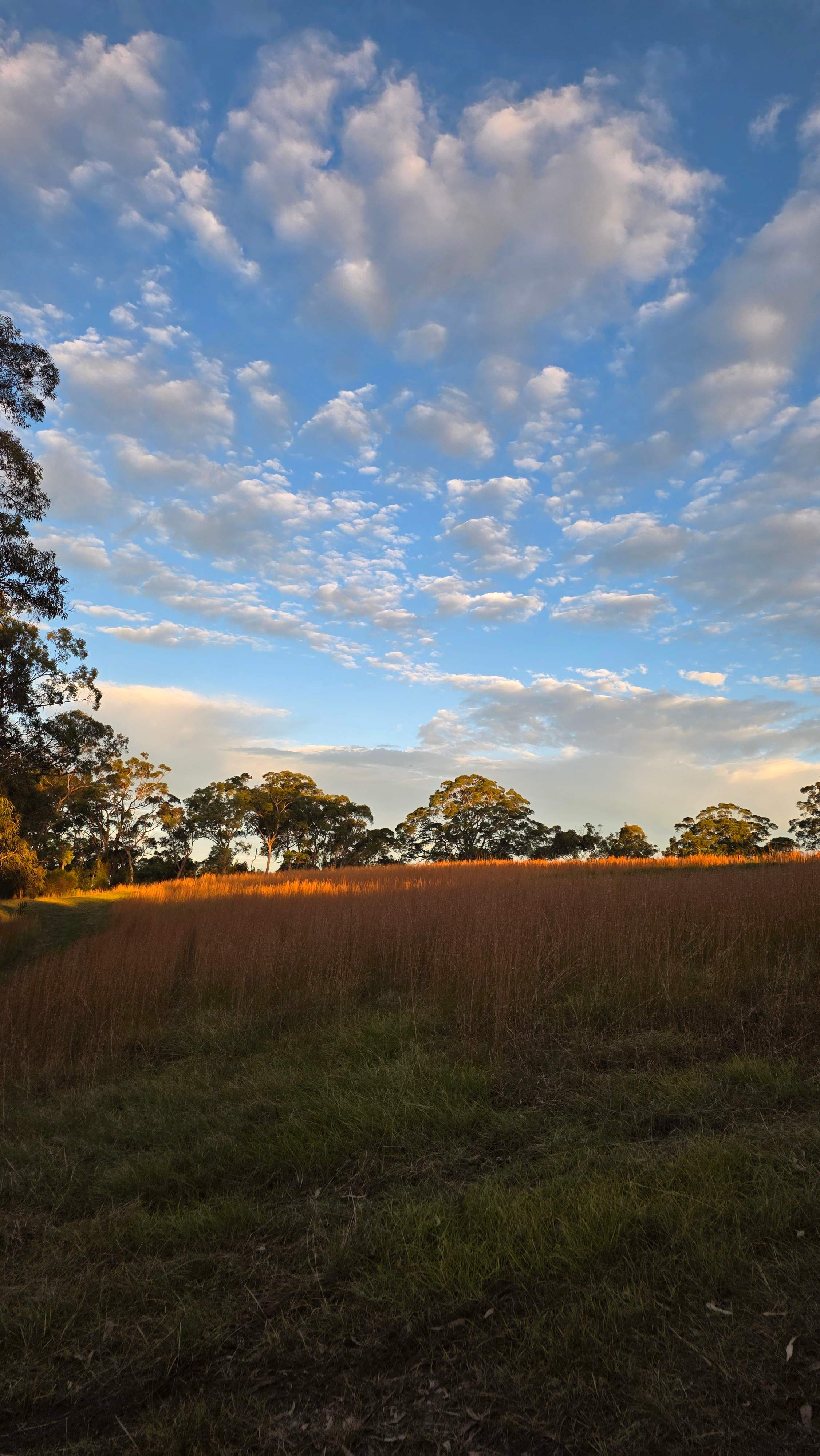Canoelands Valley Camping