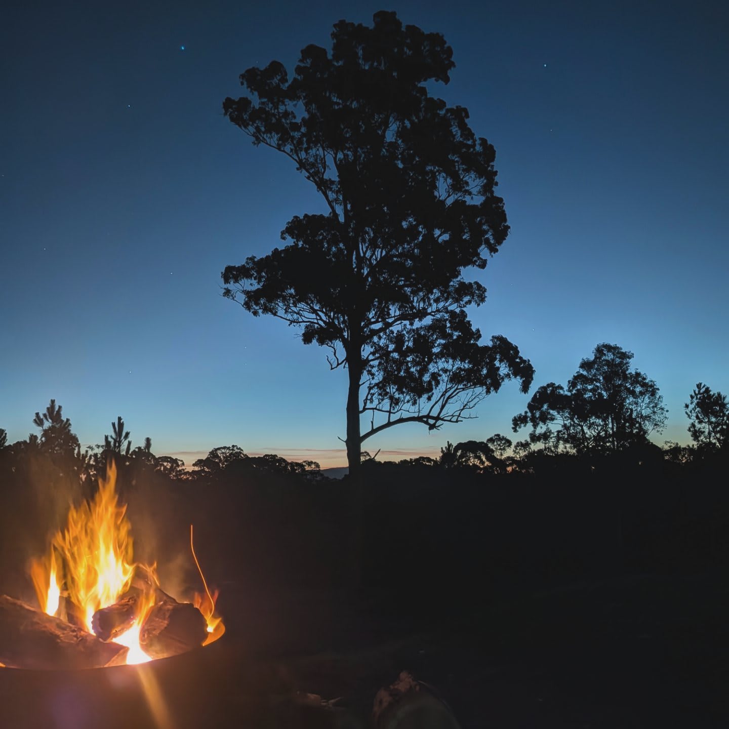 Fame Mountain Camp - pets welcome
