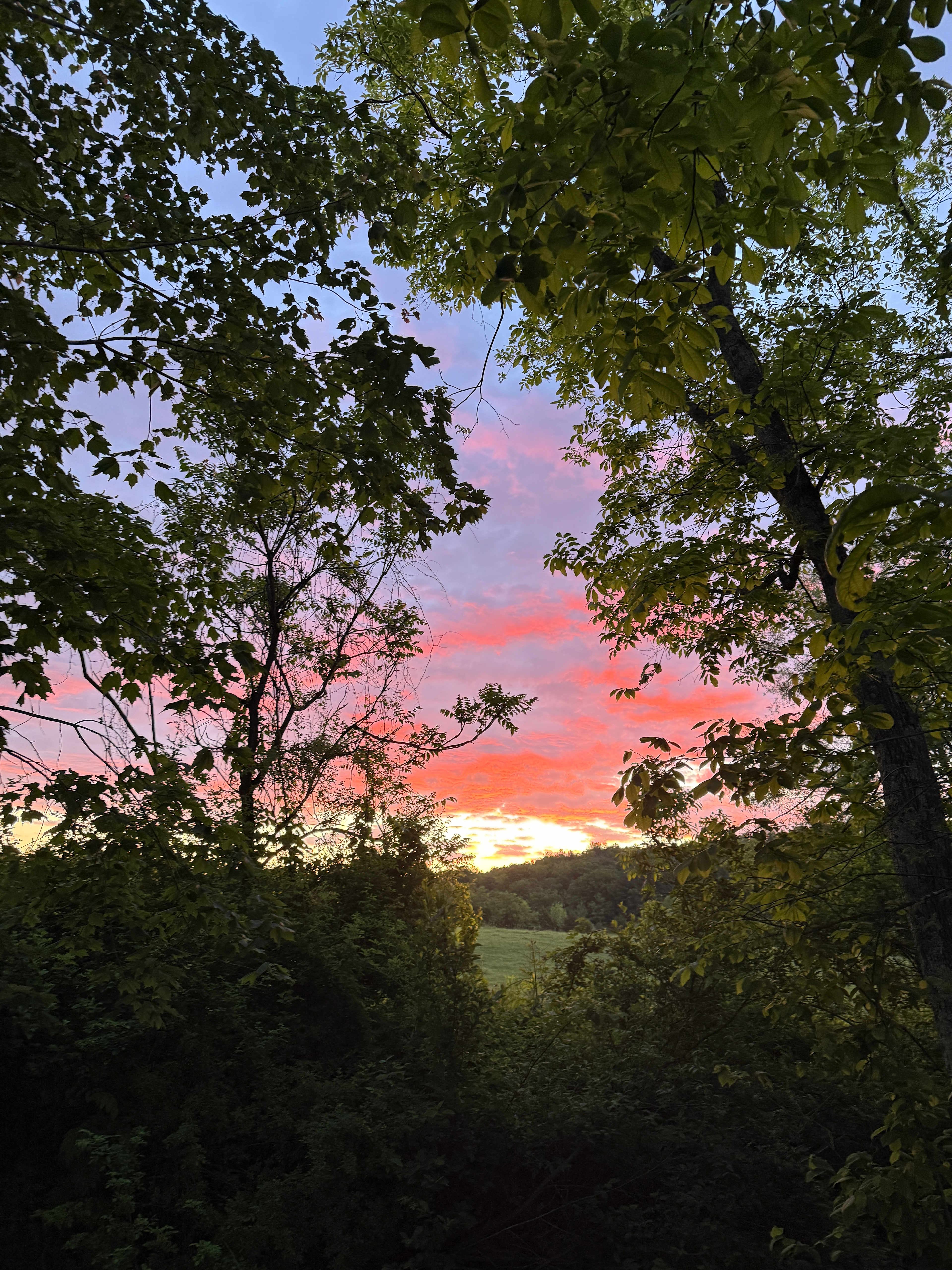 Faithful Harvest Farm Camping