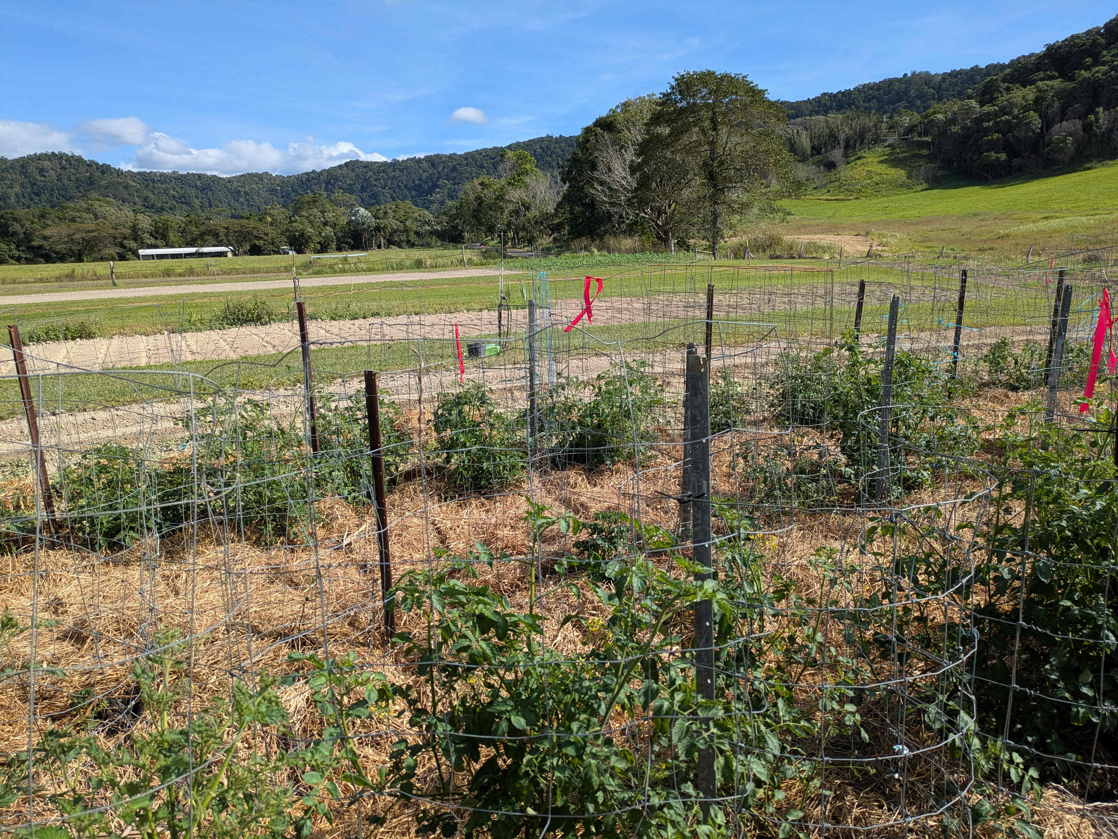 Kingston Road Farm Stay