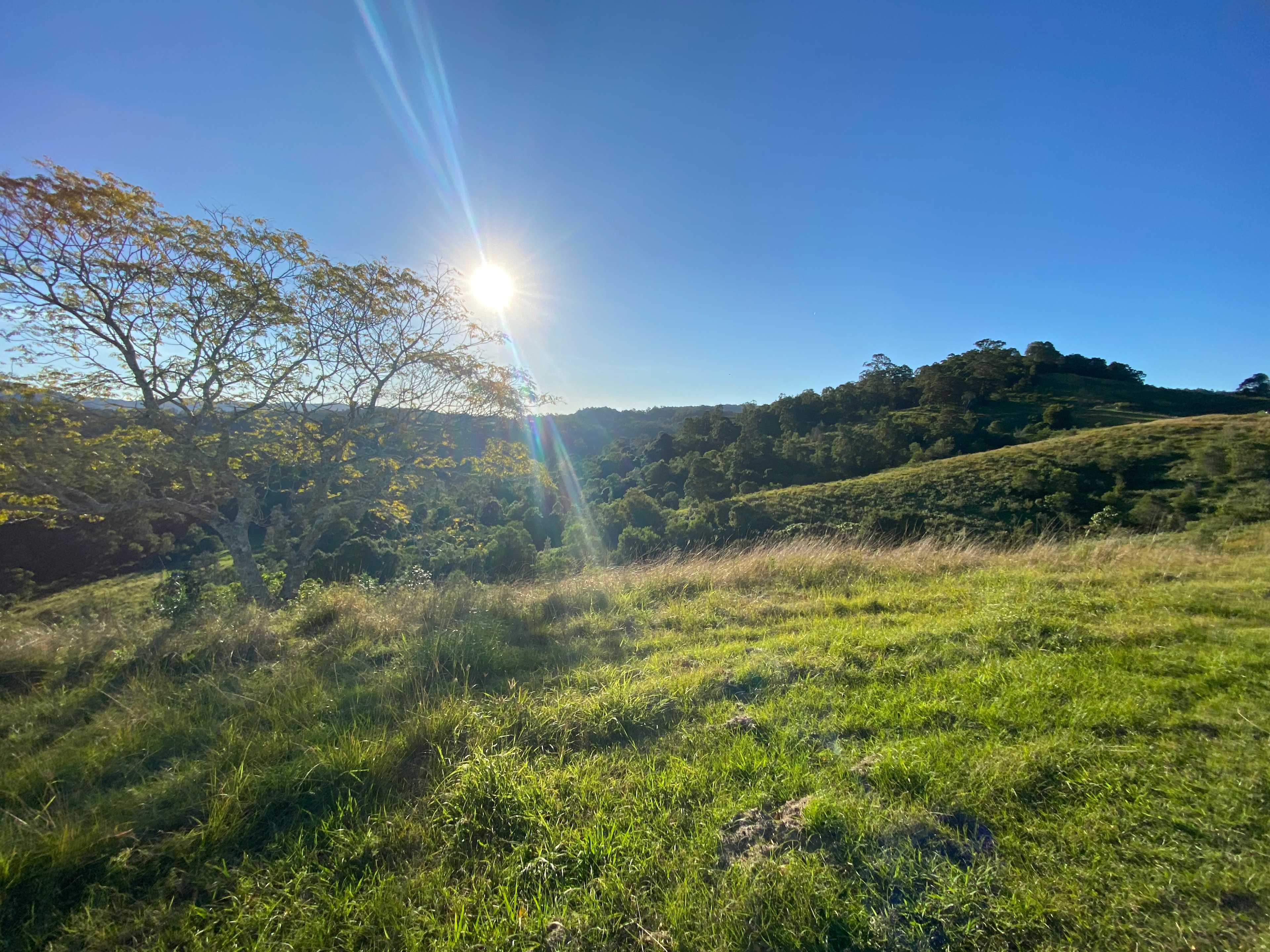 Oakey Ridge