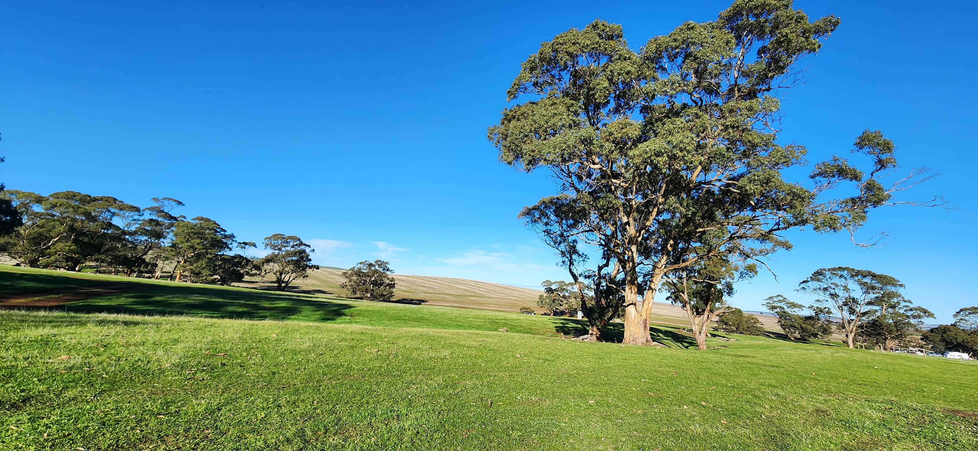Edgehill Farm Stays Riverton