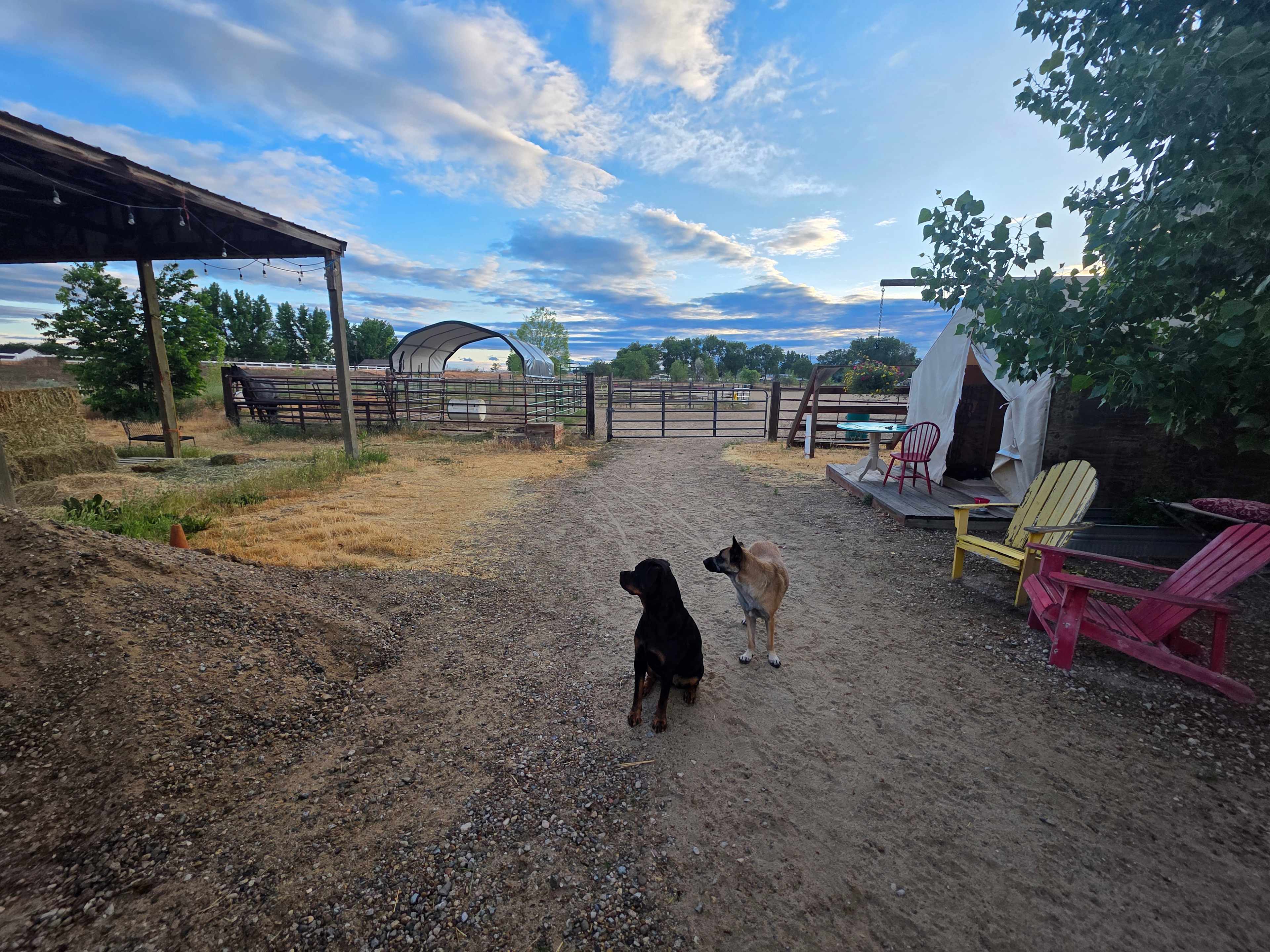 Sweet Pepper Ranch's Glamping Tent