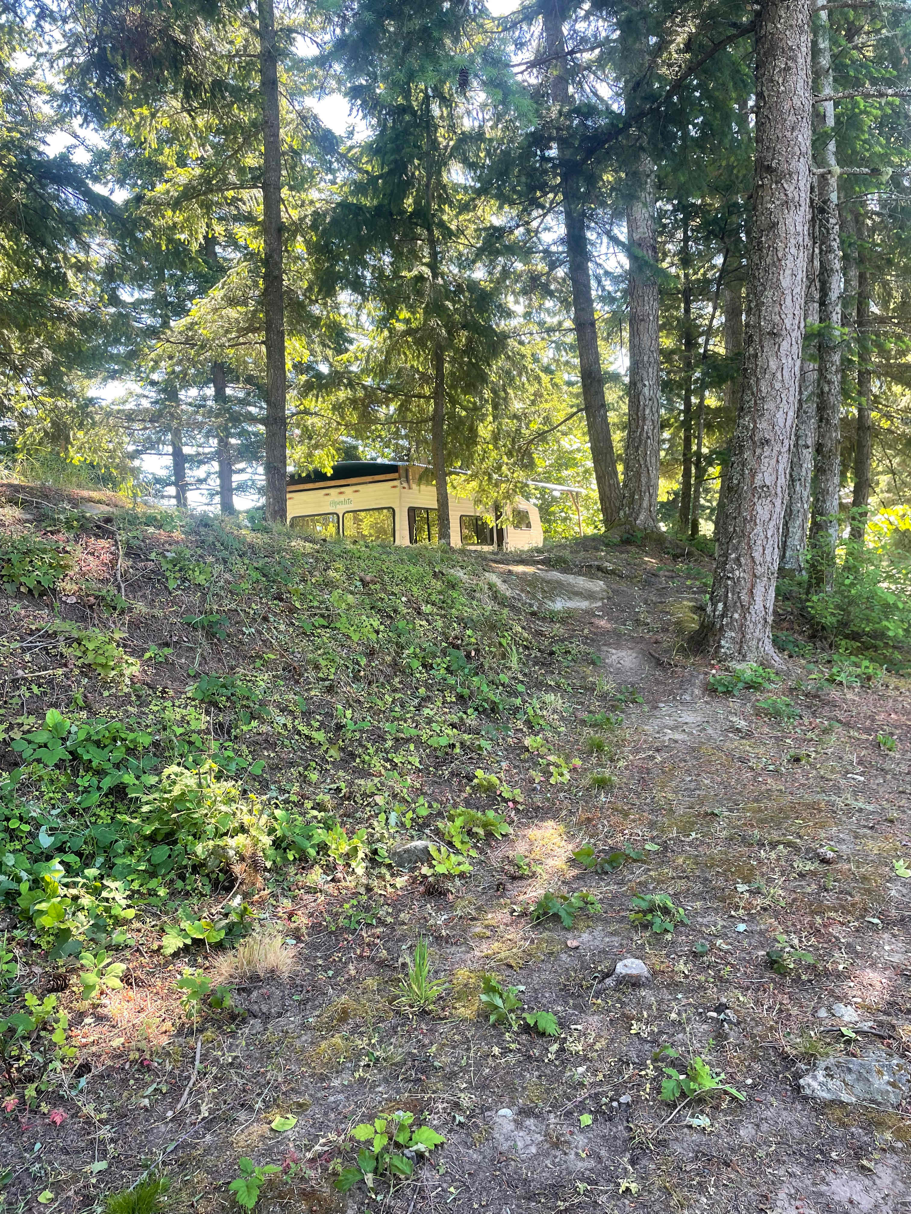 View of the camper from the fire pit/picnic table area. 