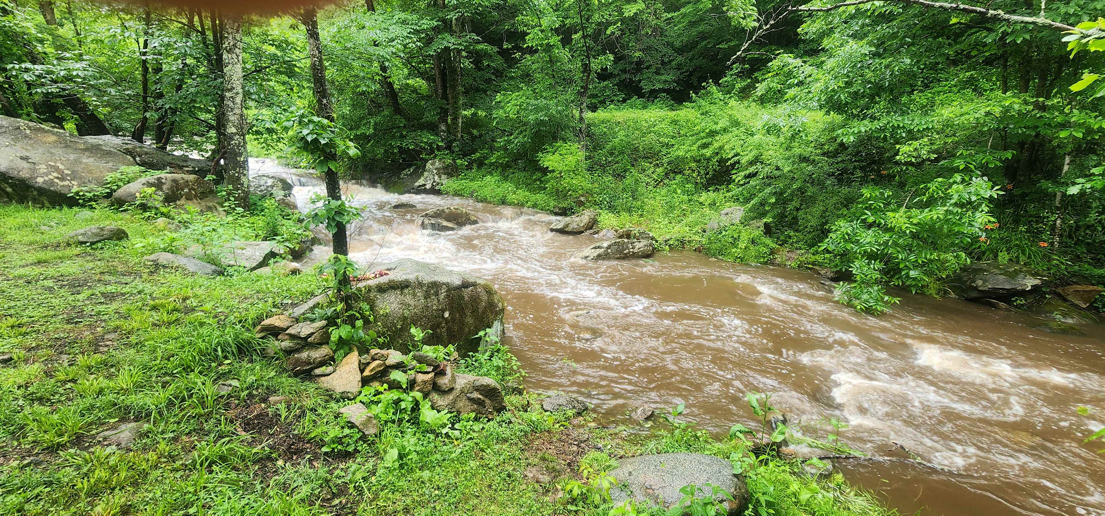 Creek side