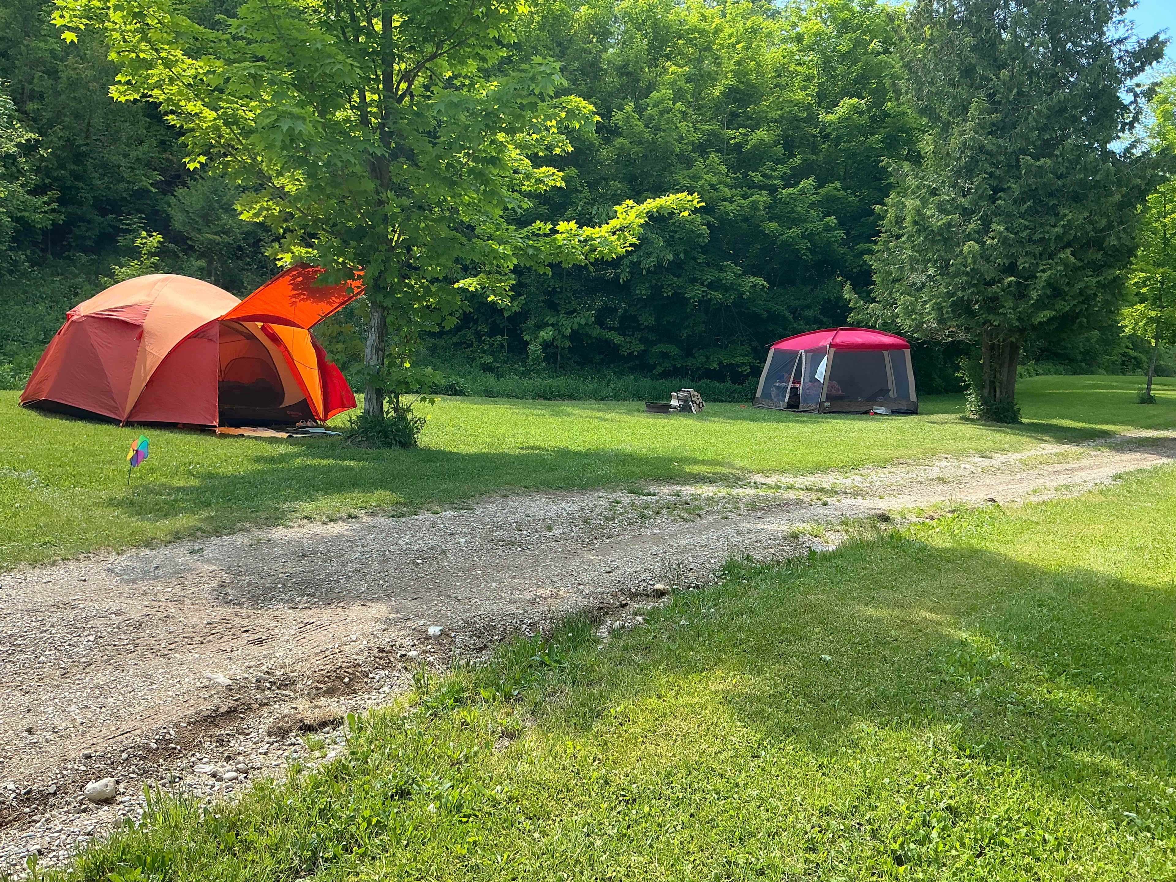 Back field site