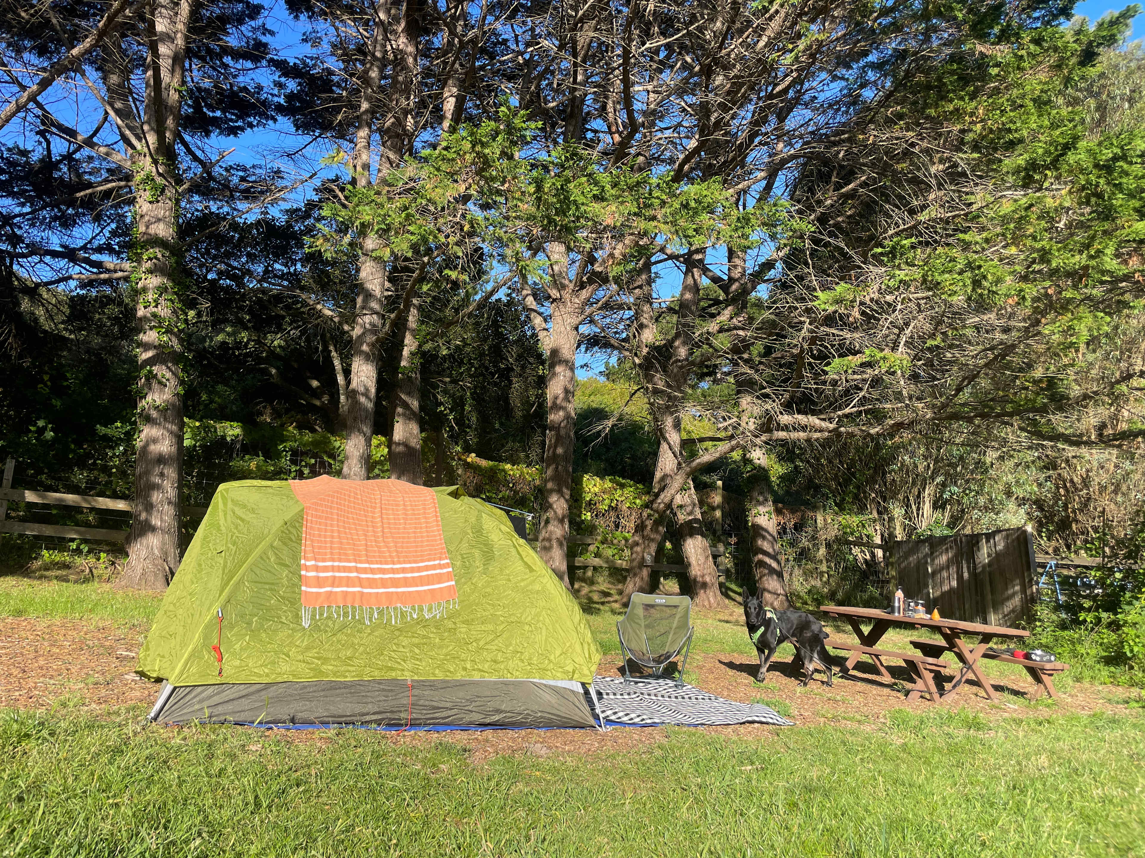 Meadow camping in Bolinas