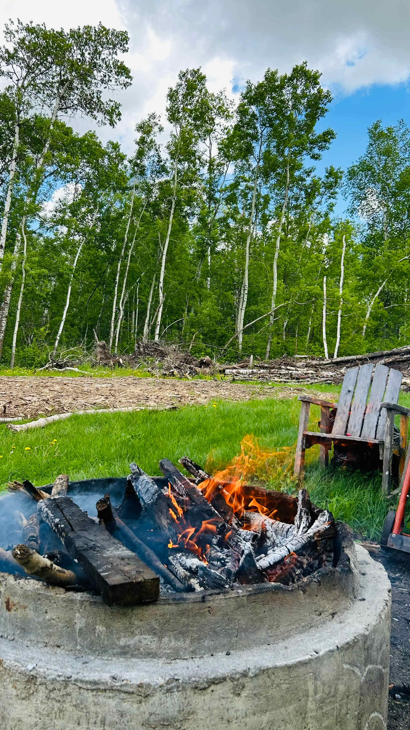 Halfmoon Lake, Forest and Homestead