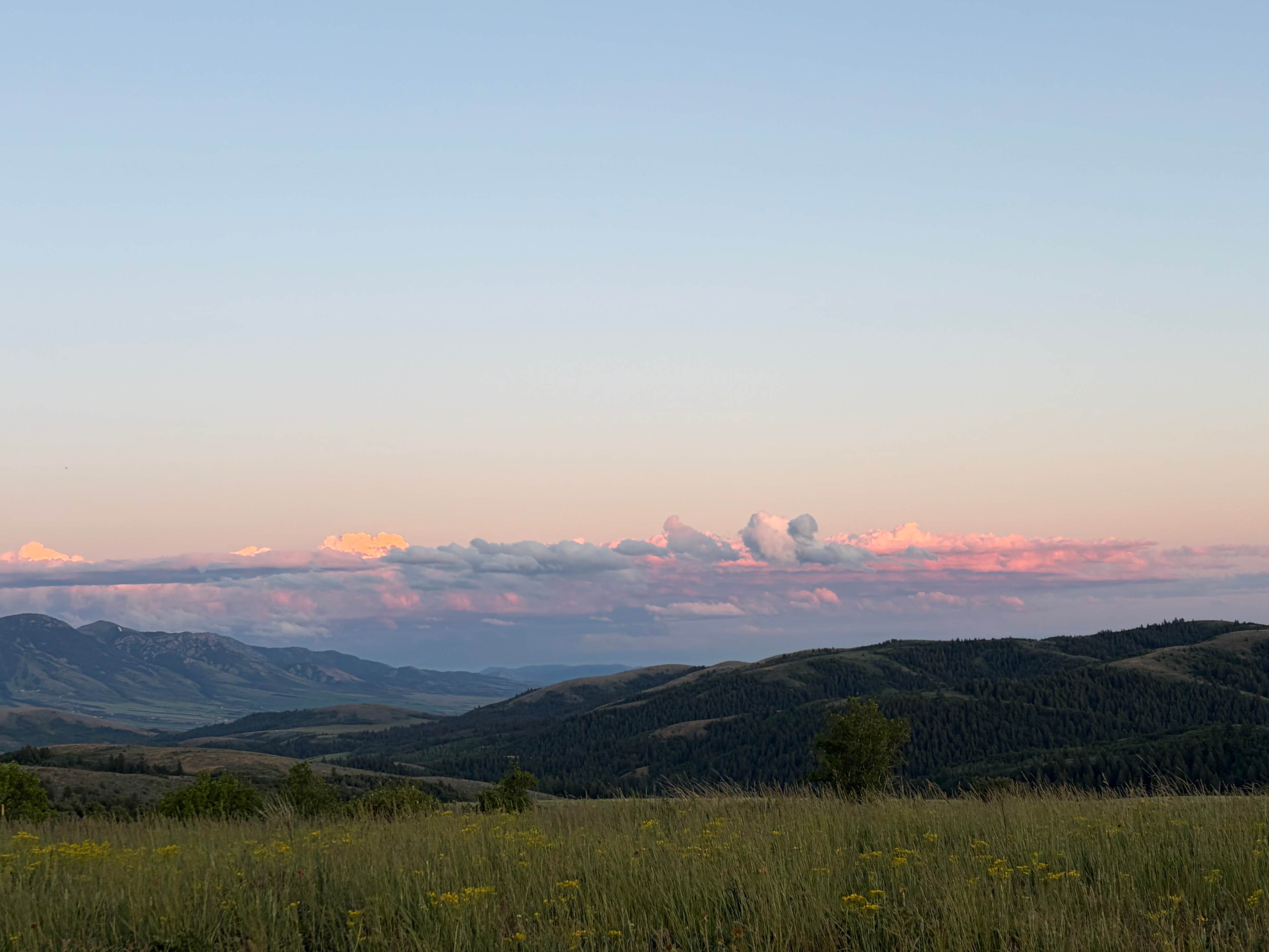 Moonlight Mine Acres
