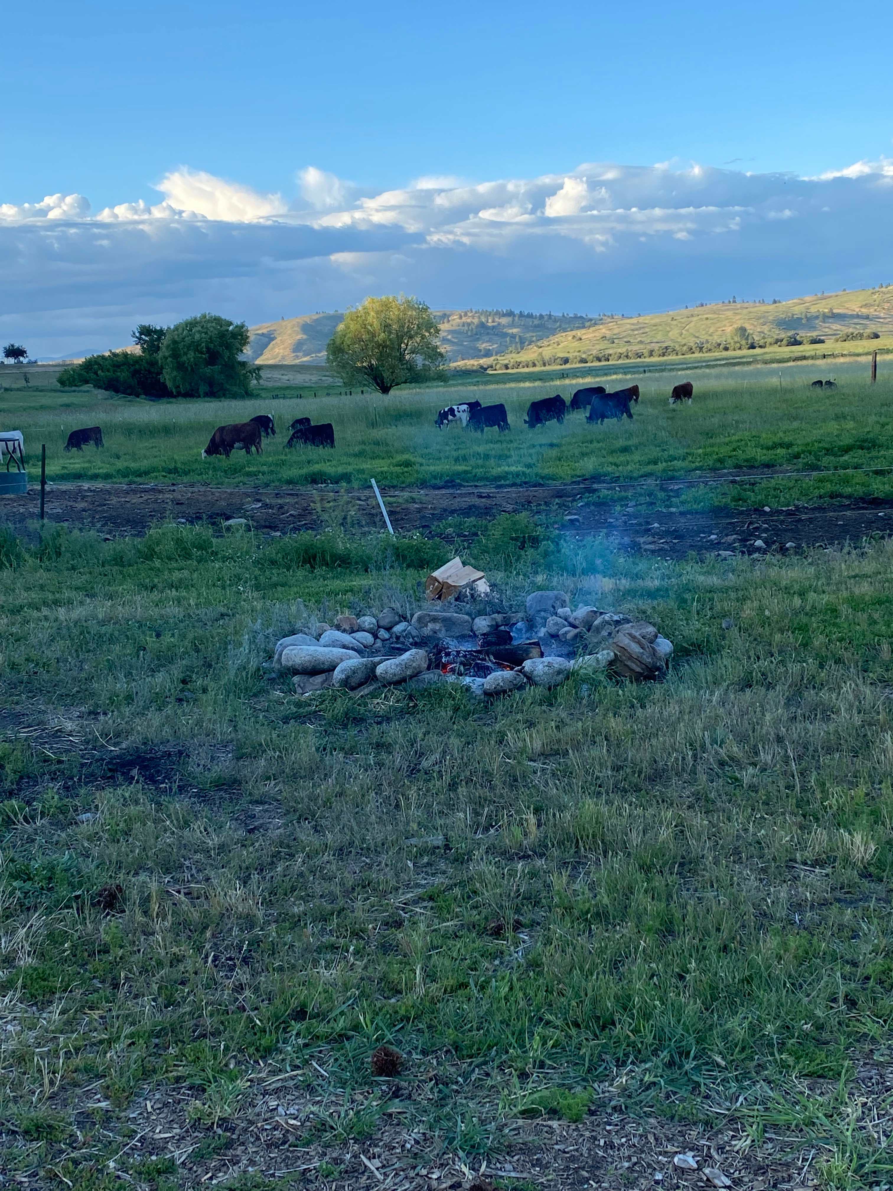 Mica Valley Ranch