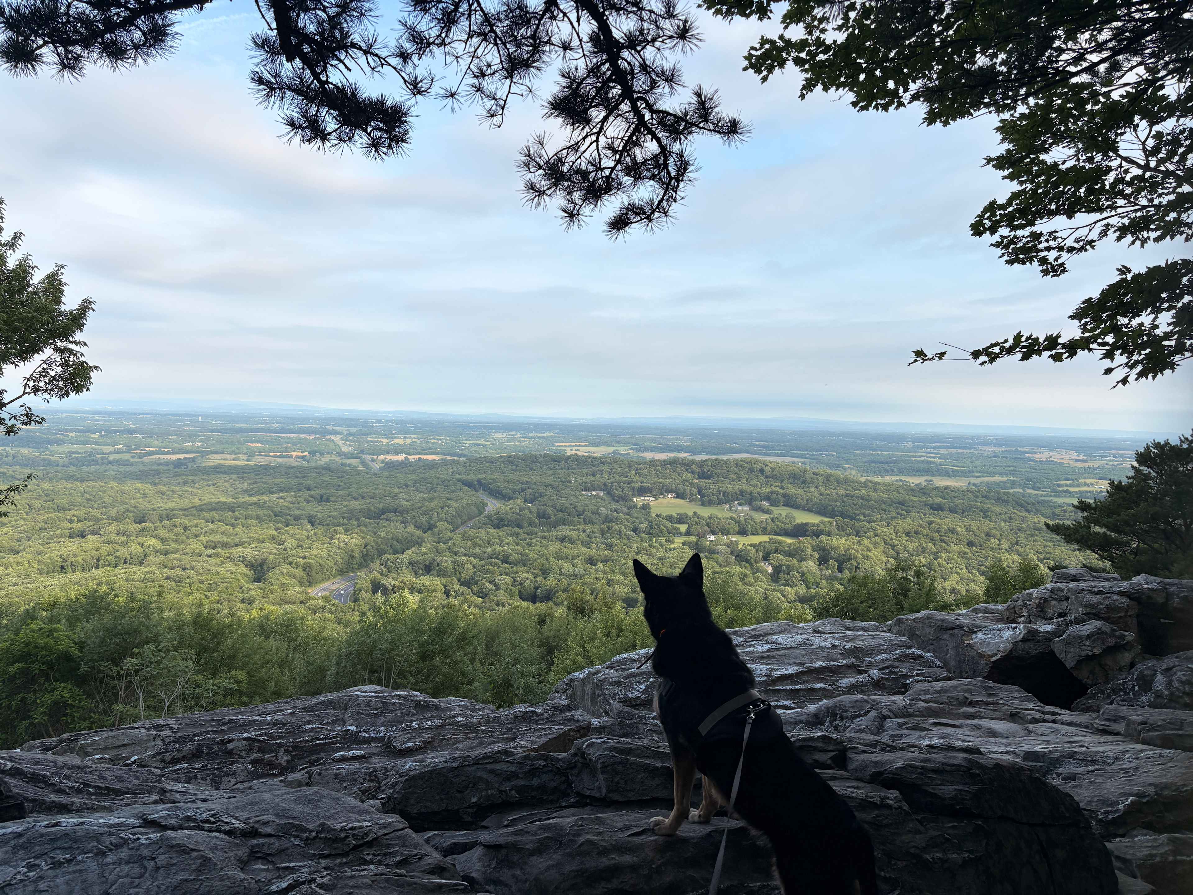 Bears Den Campground