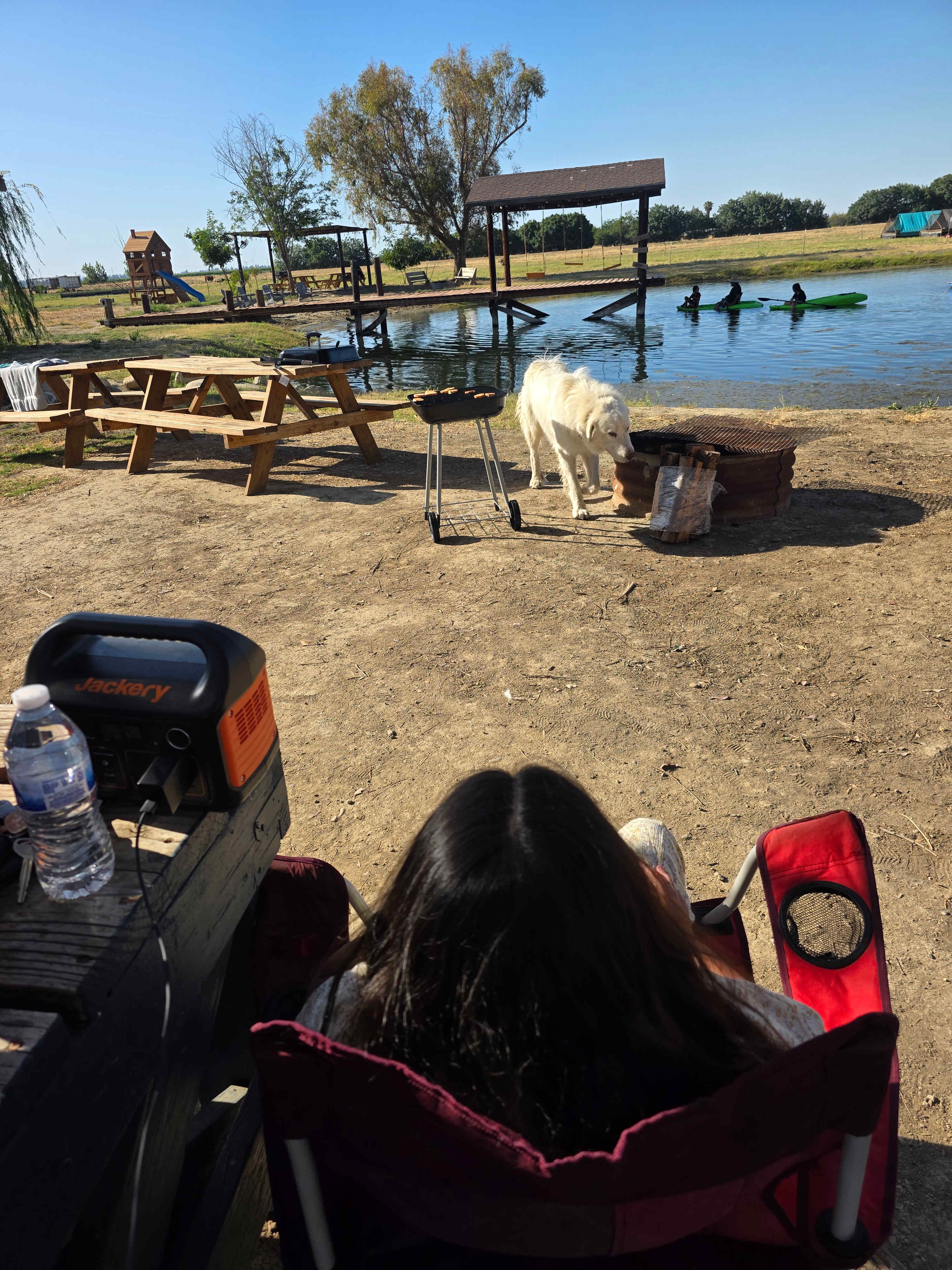 Bakersfield Farm Animals & Pond