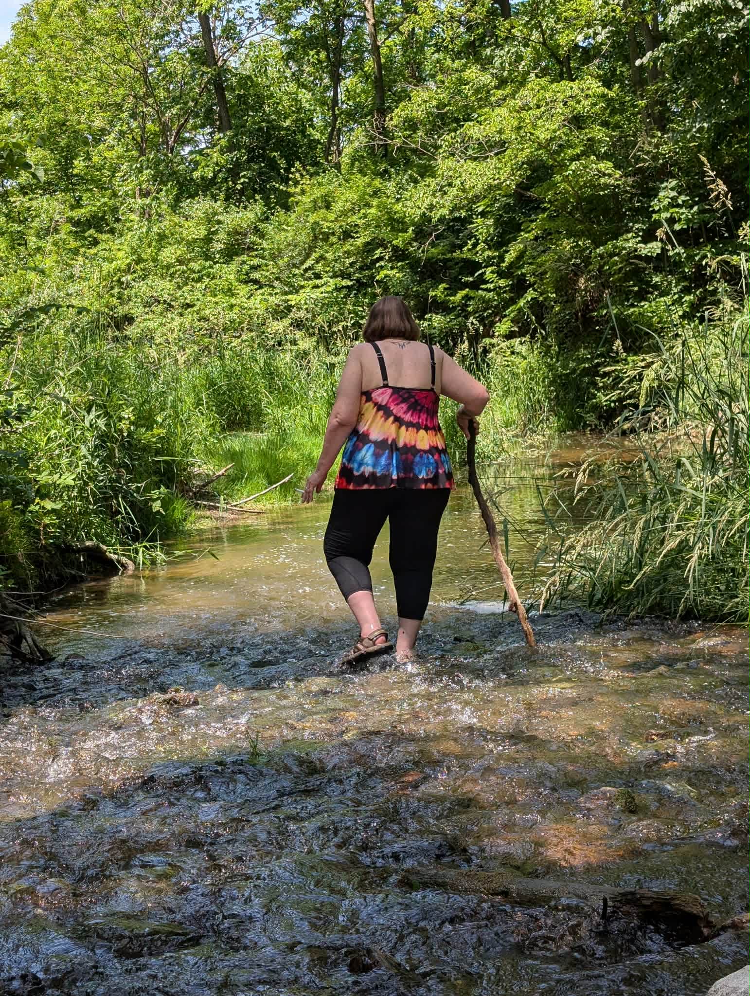 Rock hunting, hiking the creek, swimming in a small pool!