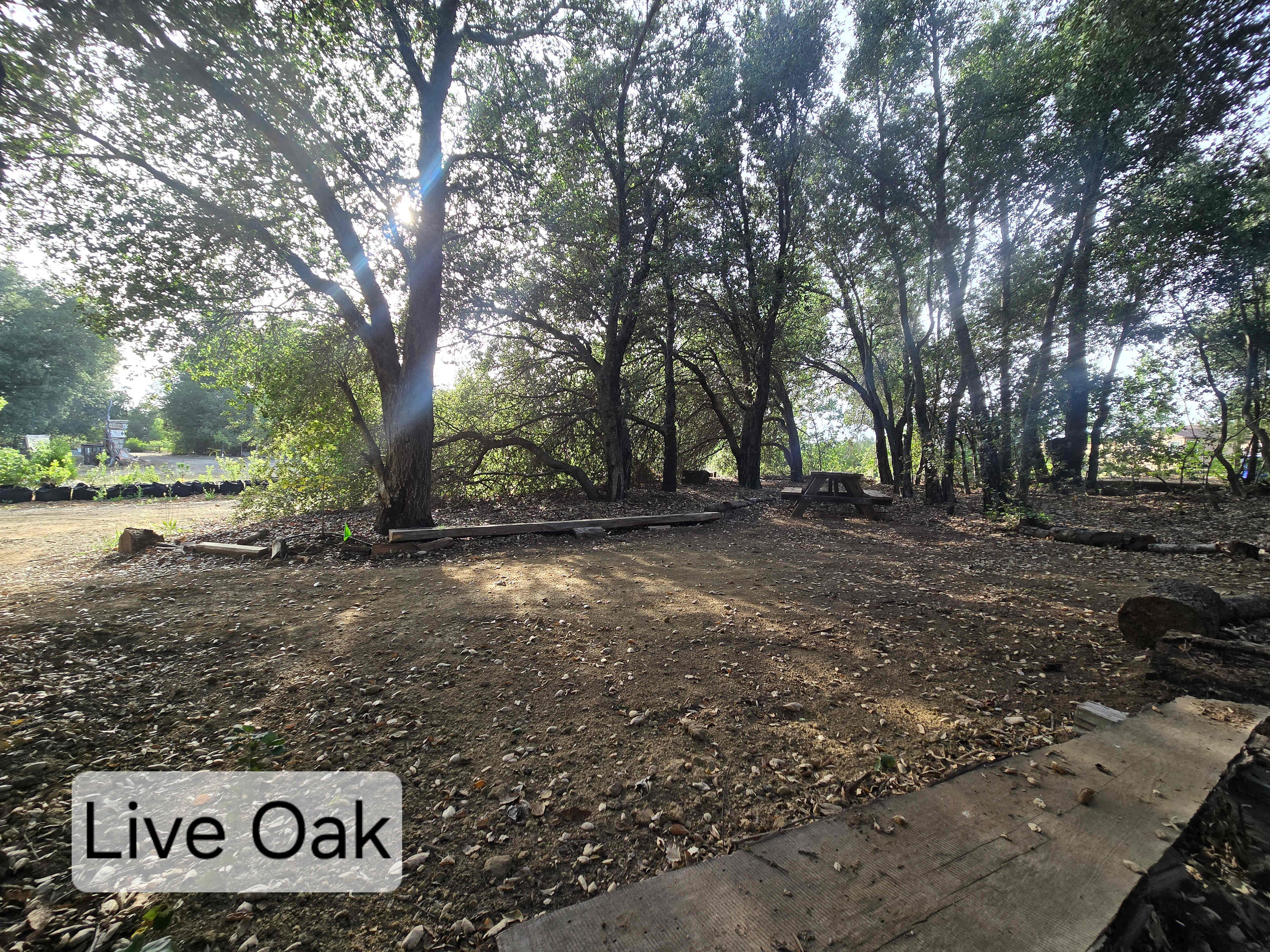 Picture of the site