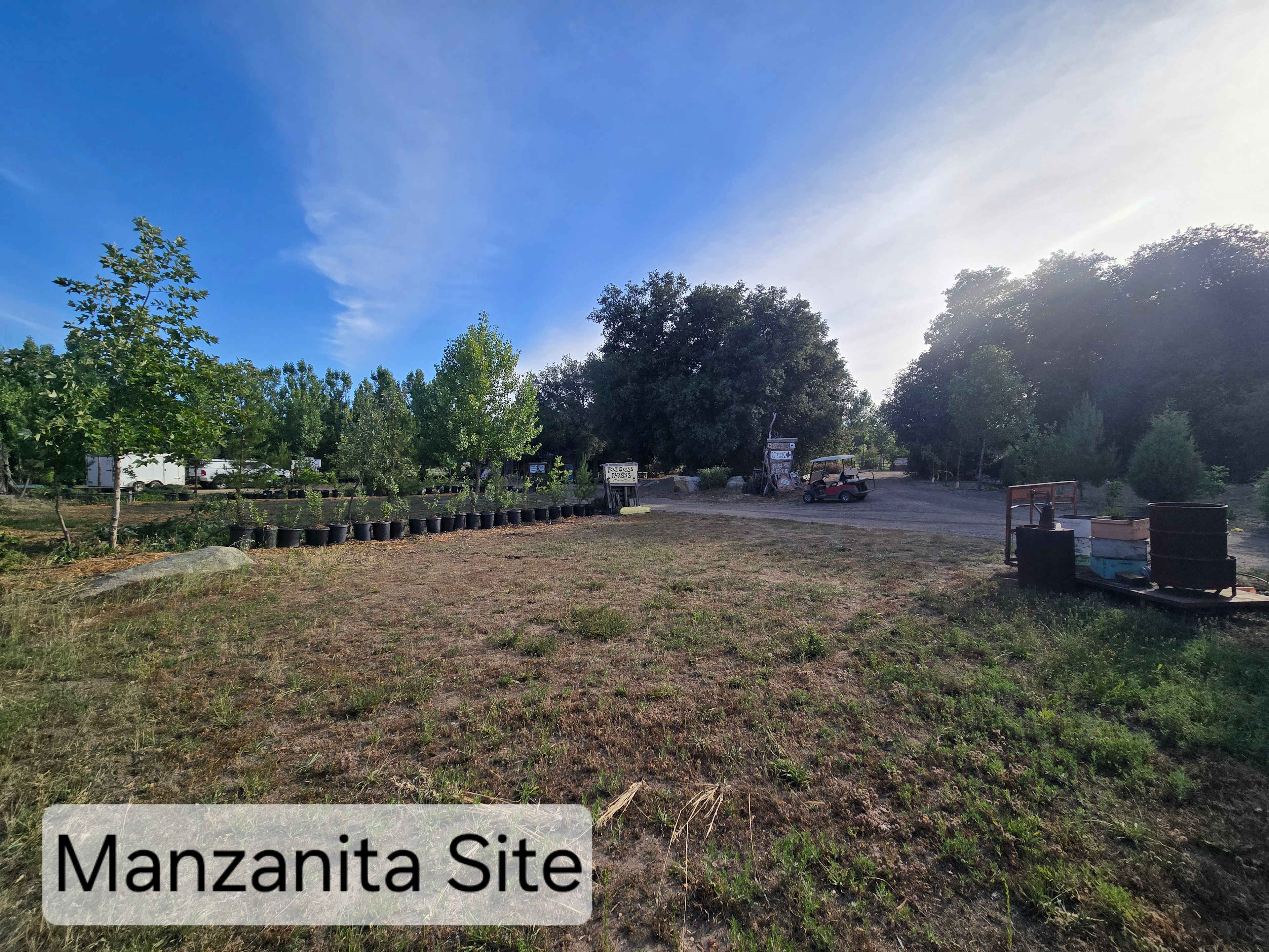 Picture of the site