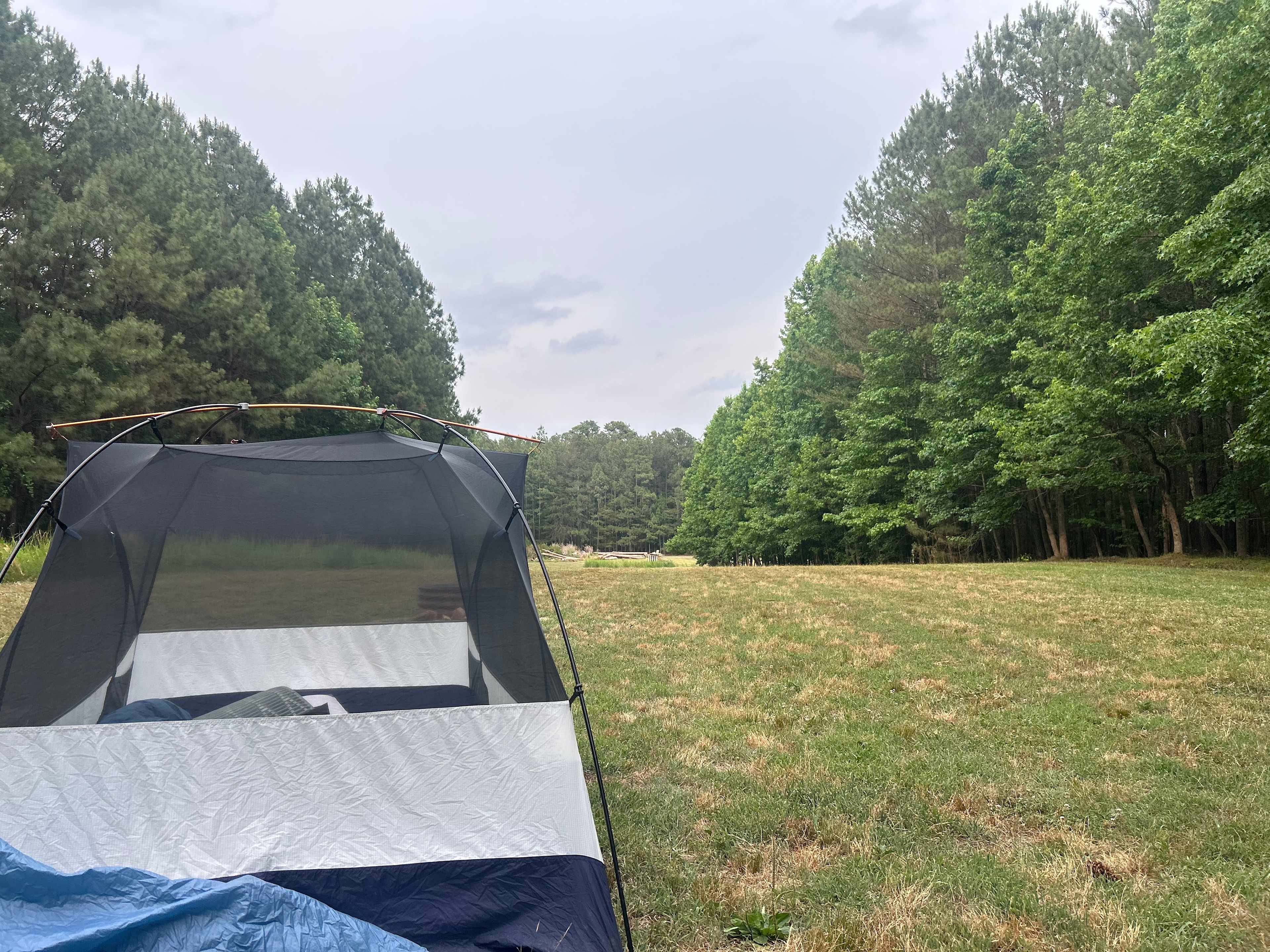 Rural Chapel Hill Forestry Stay